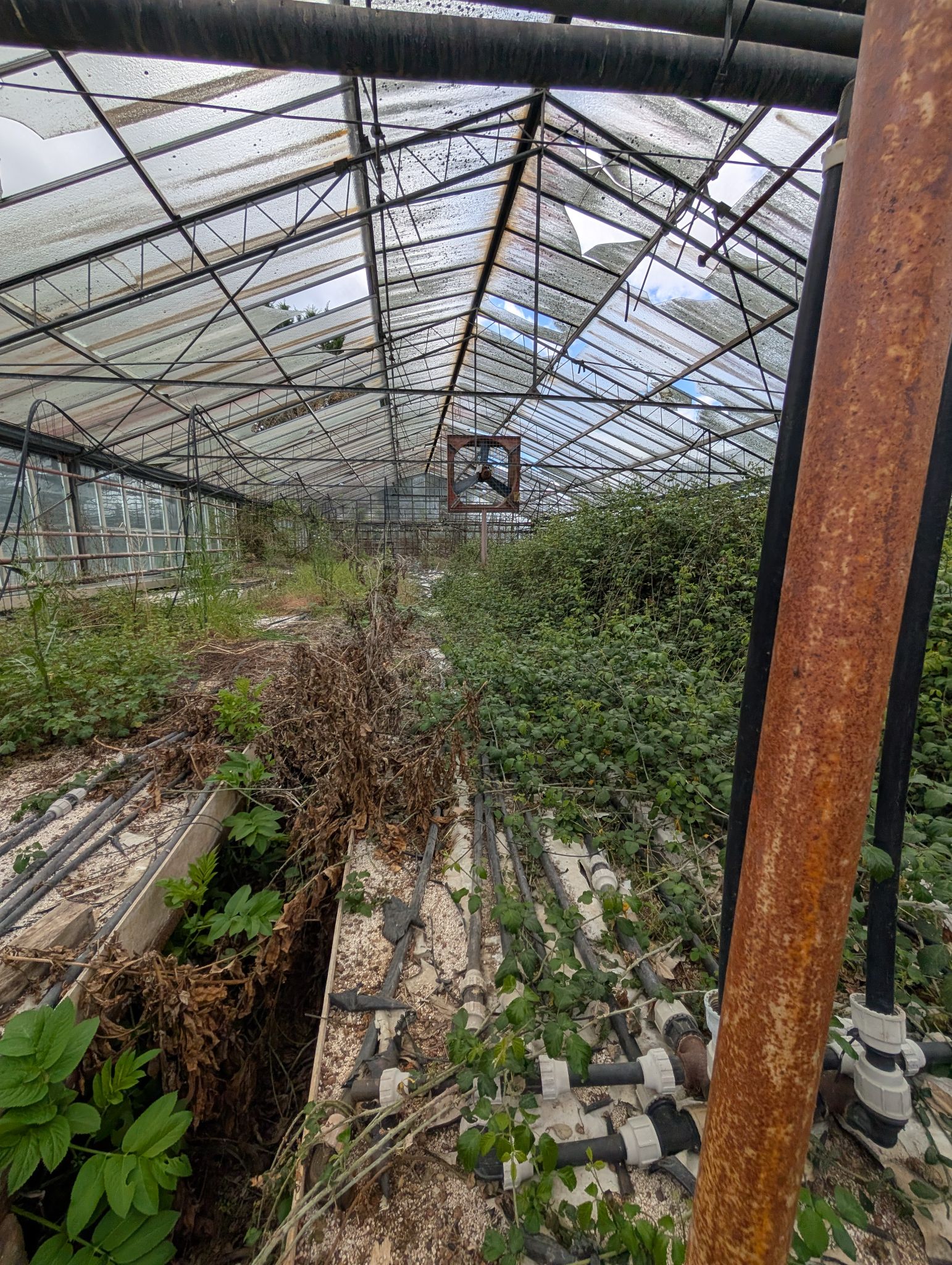 PXL 20250417 125745054