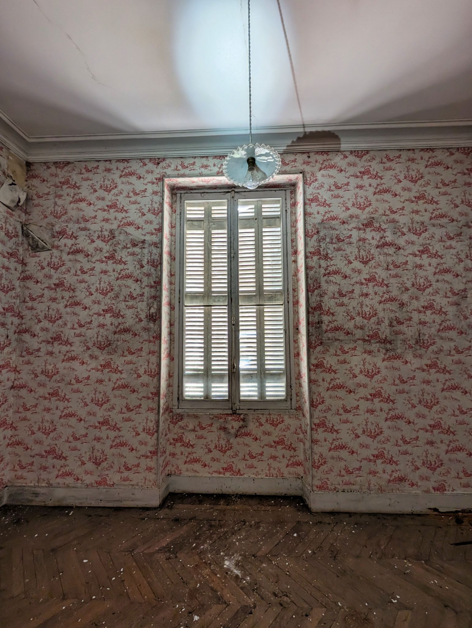 PXL 20250119 134506348