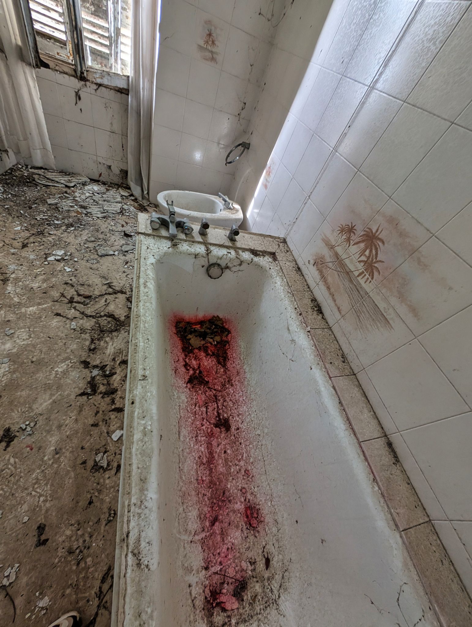 PXL 20250119 135010943