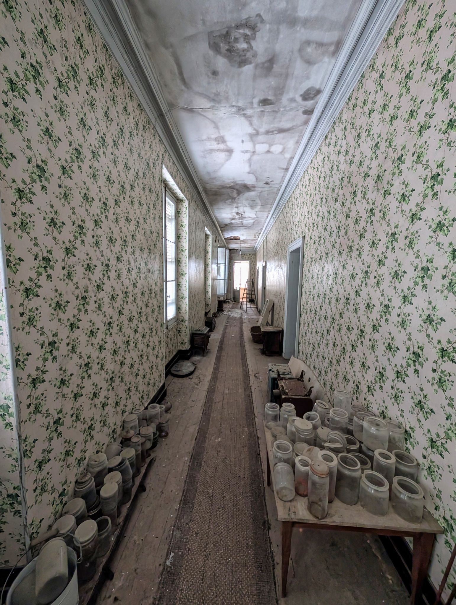 PXL 20250119 135110098