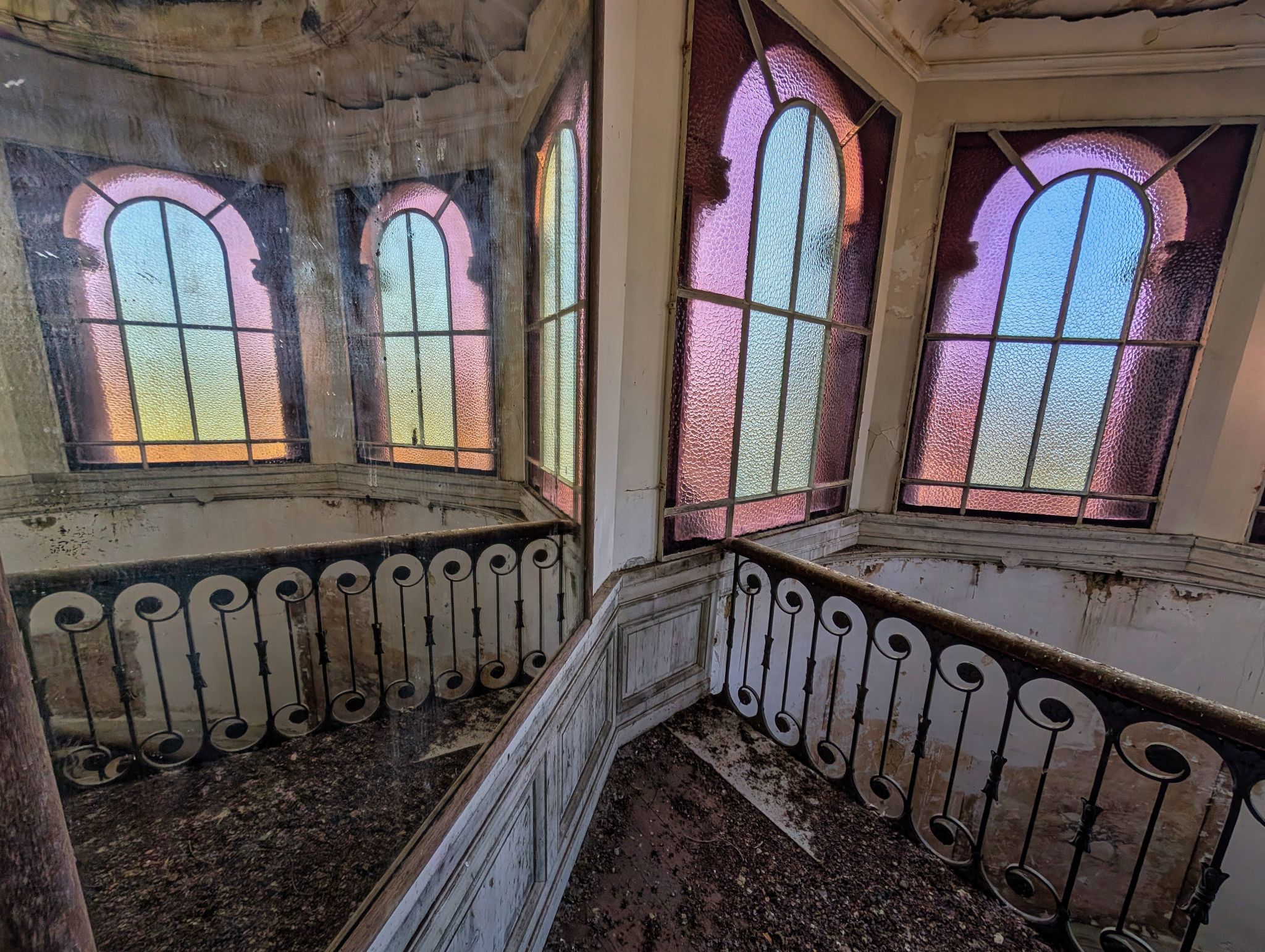 PXL 20250119 135454601