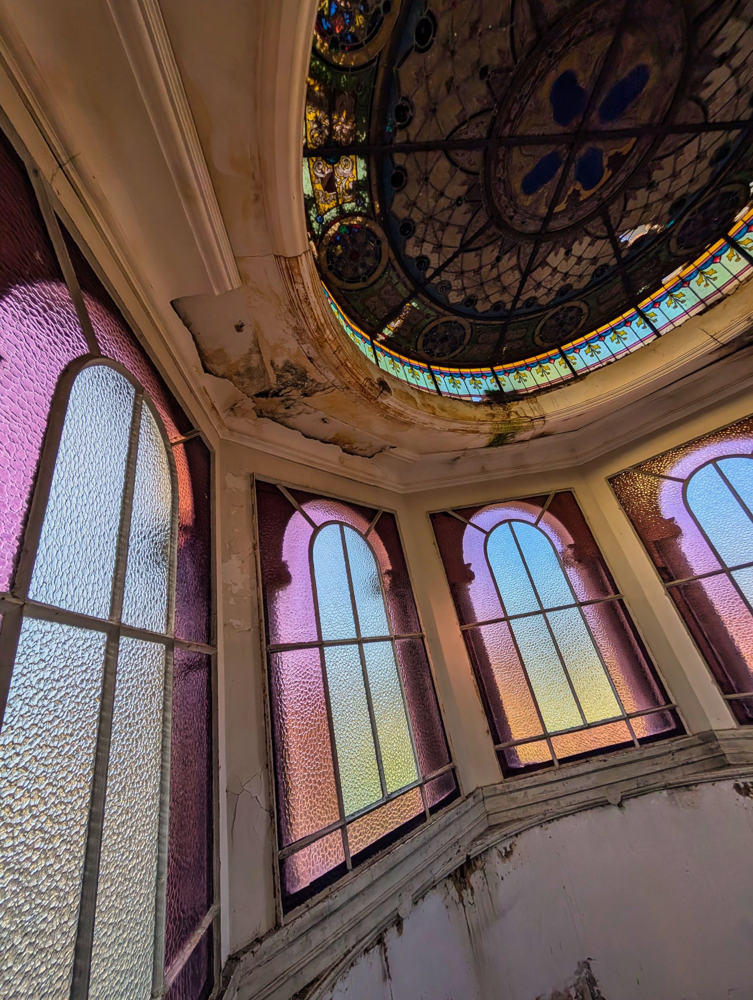 PXL 20250119 135524906