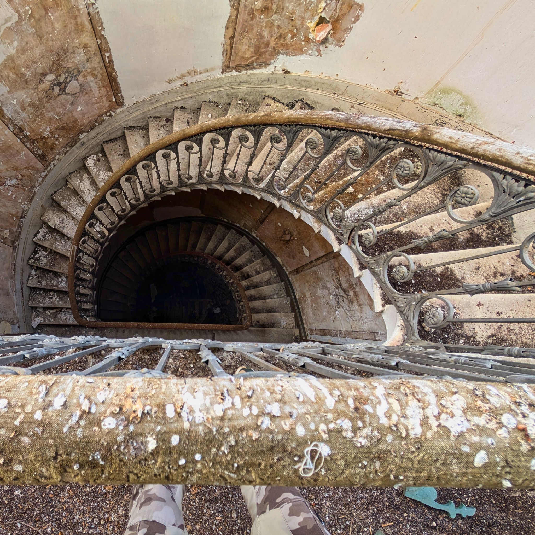 PXL 20250119 135608393