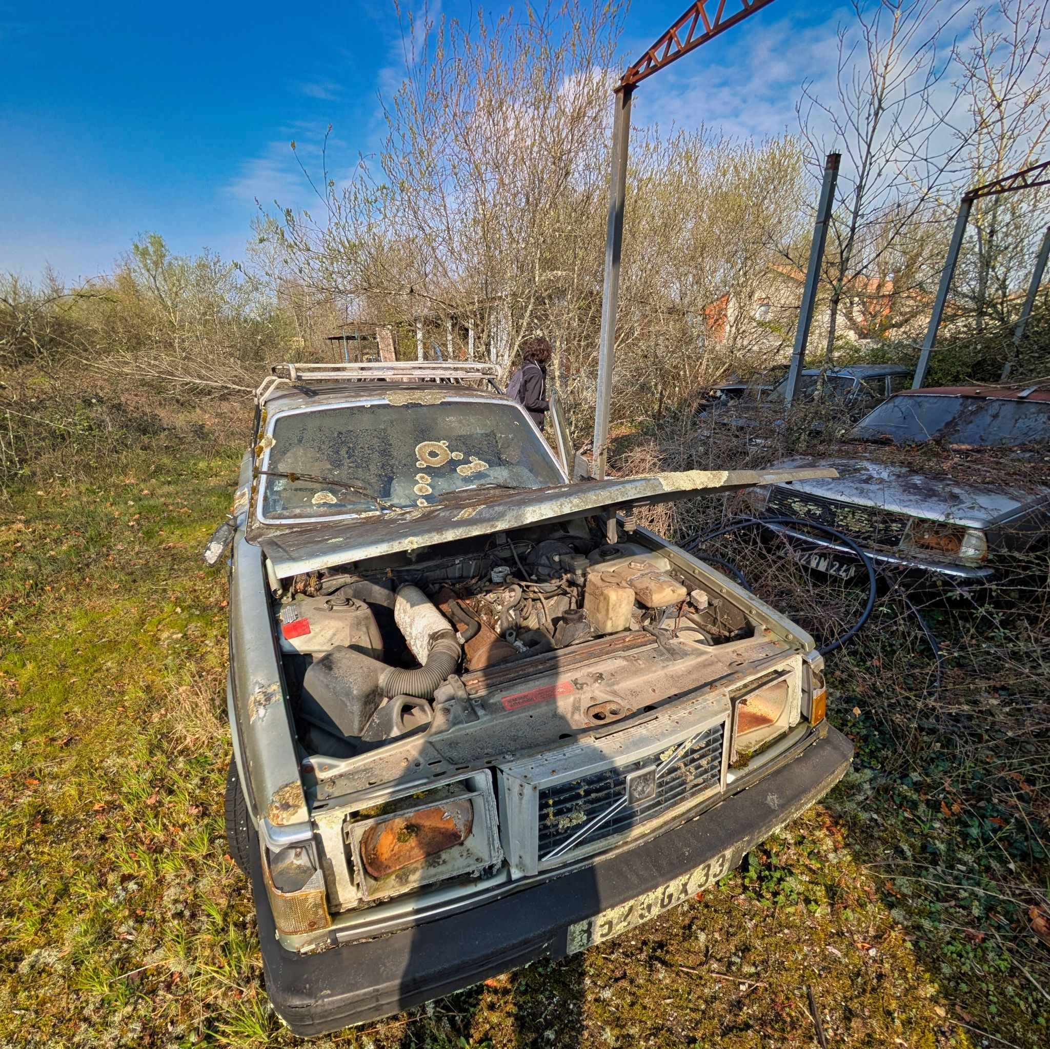 PXL 20250316 091136686