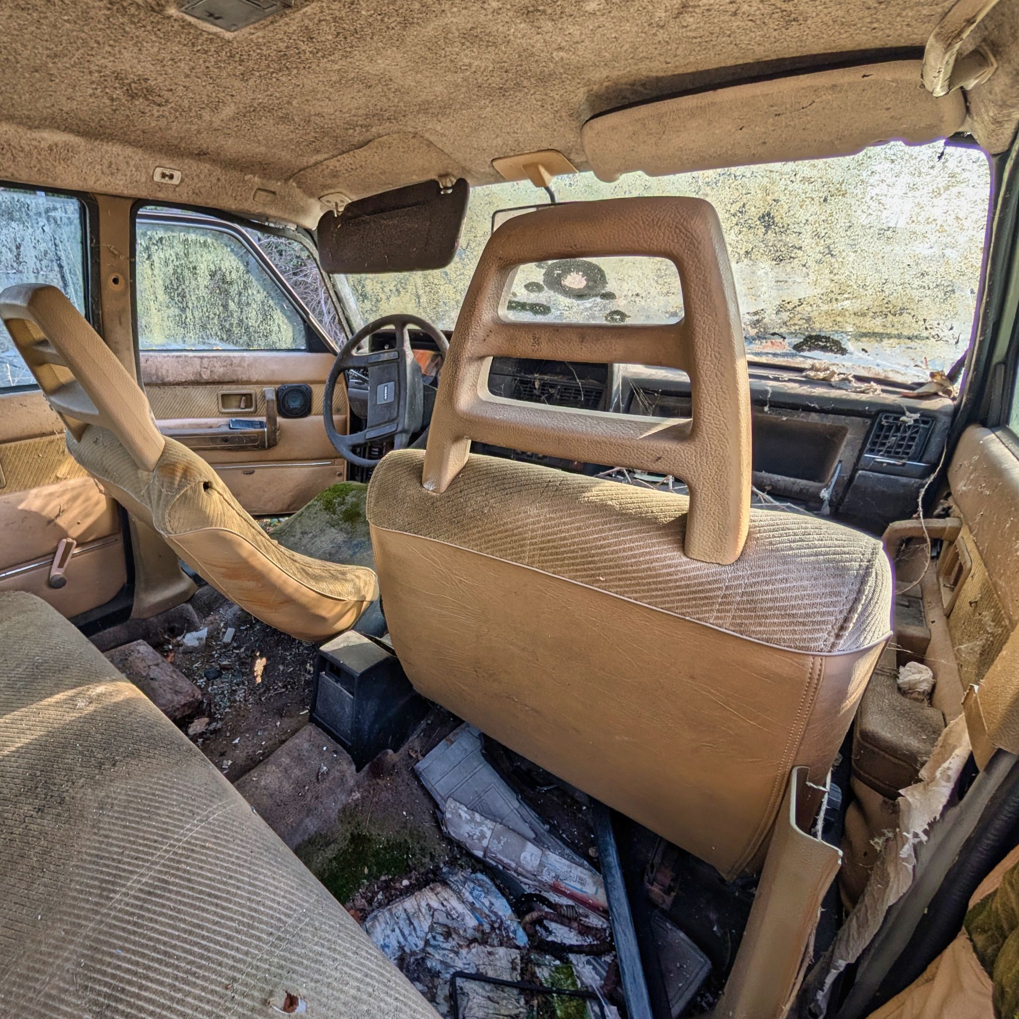 PXL 20250316 091242333