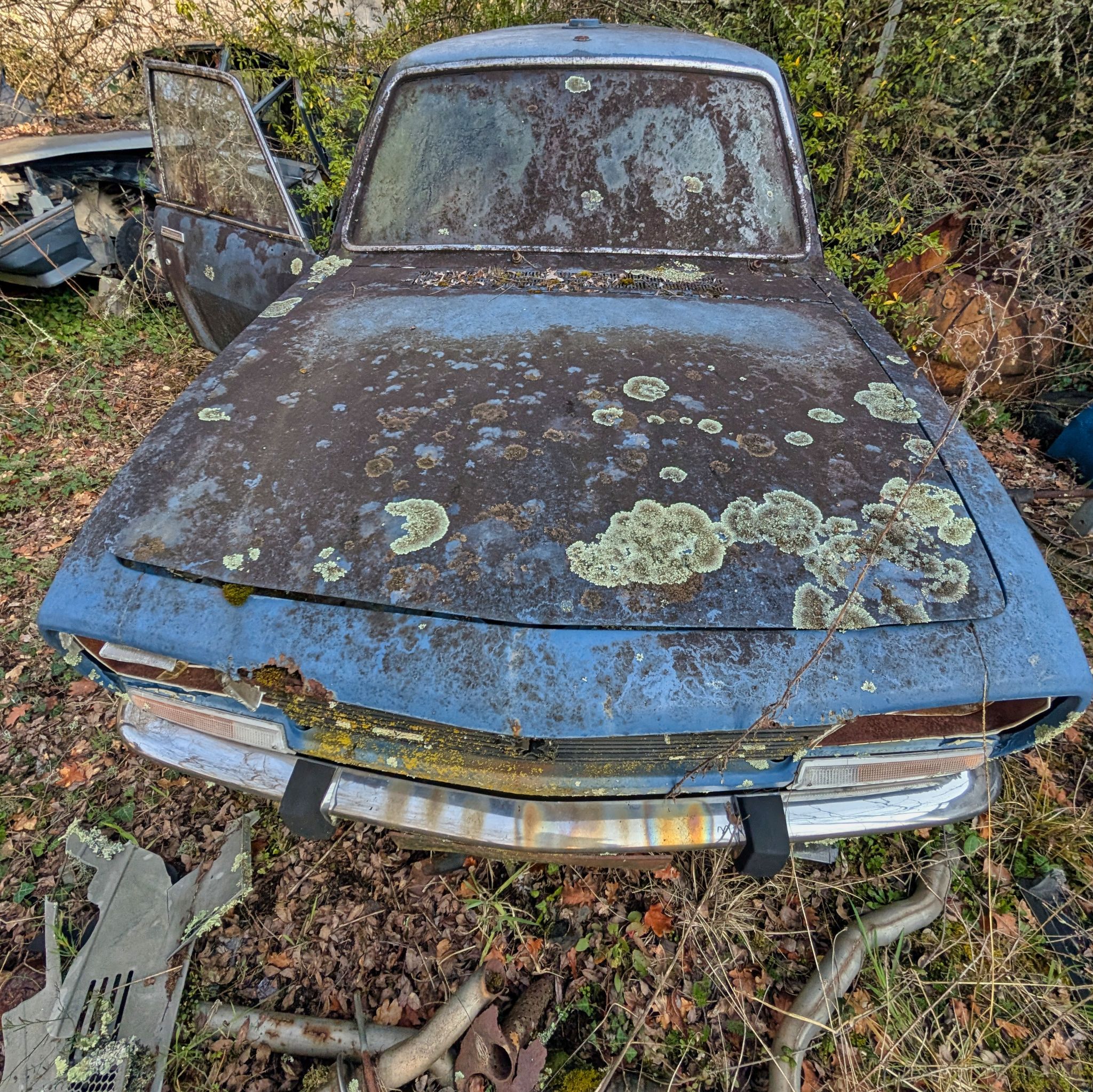 PXL 20250316 091307357