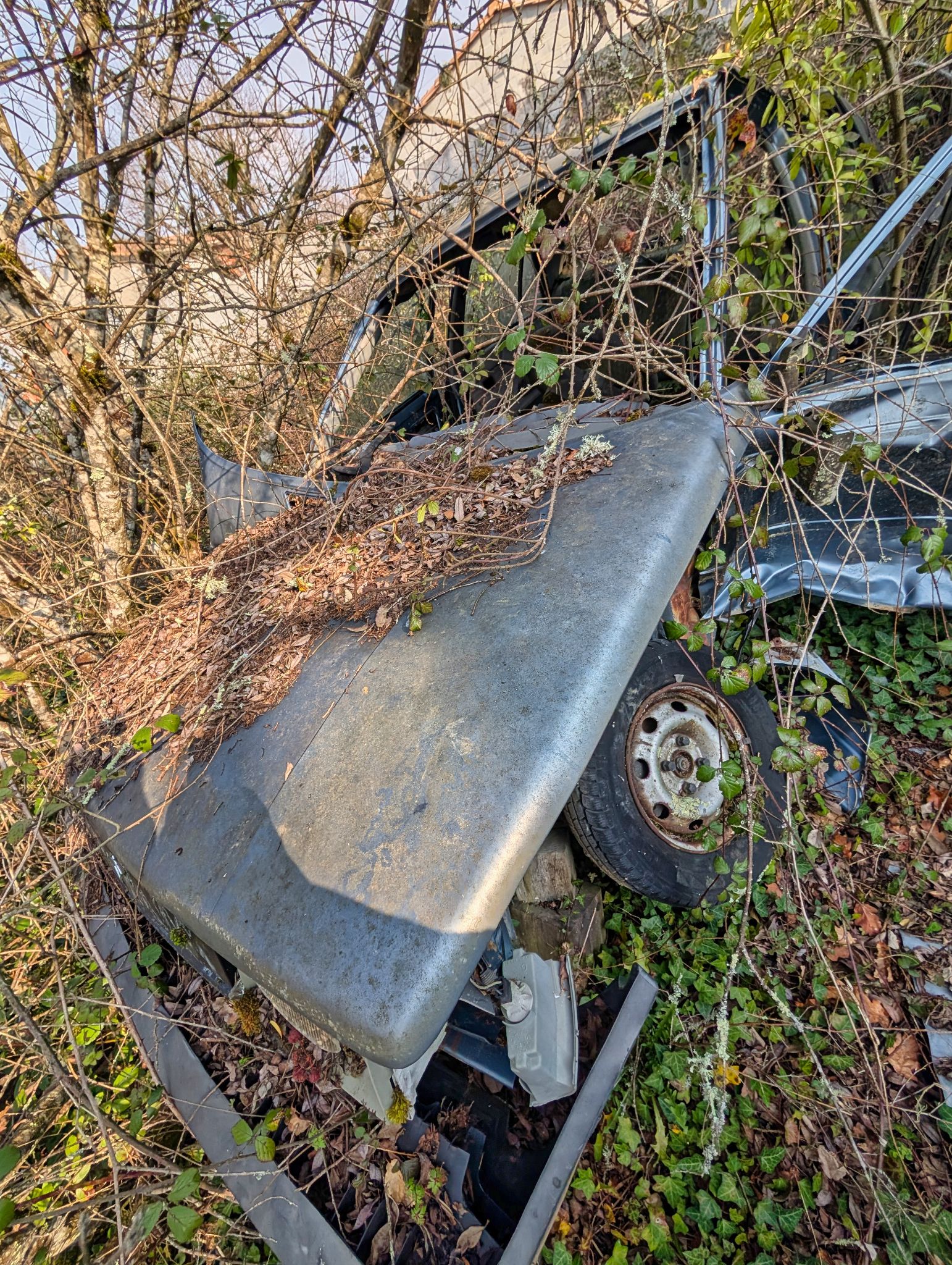 PXL 20250316 091338472