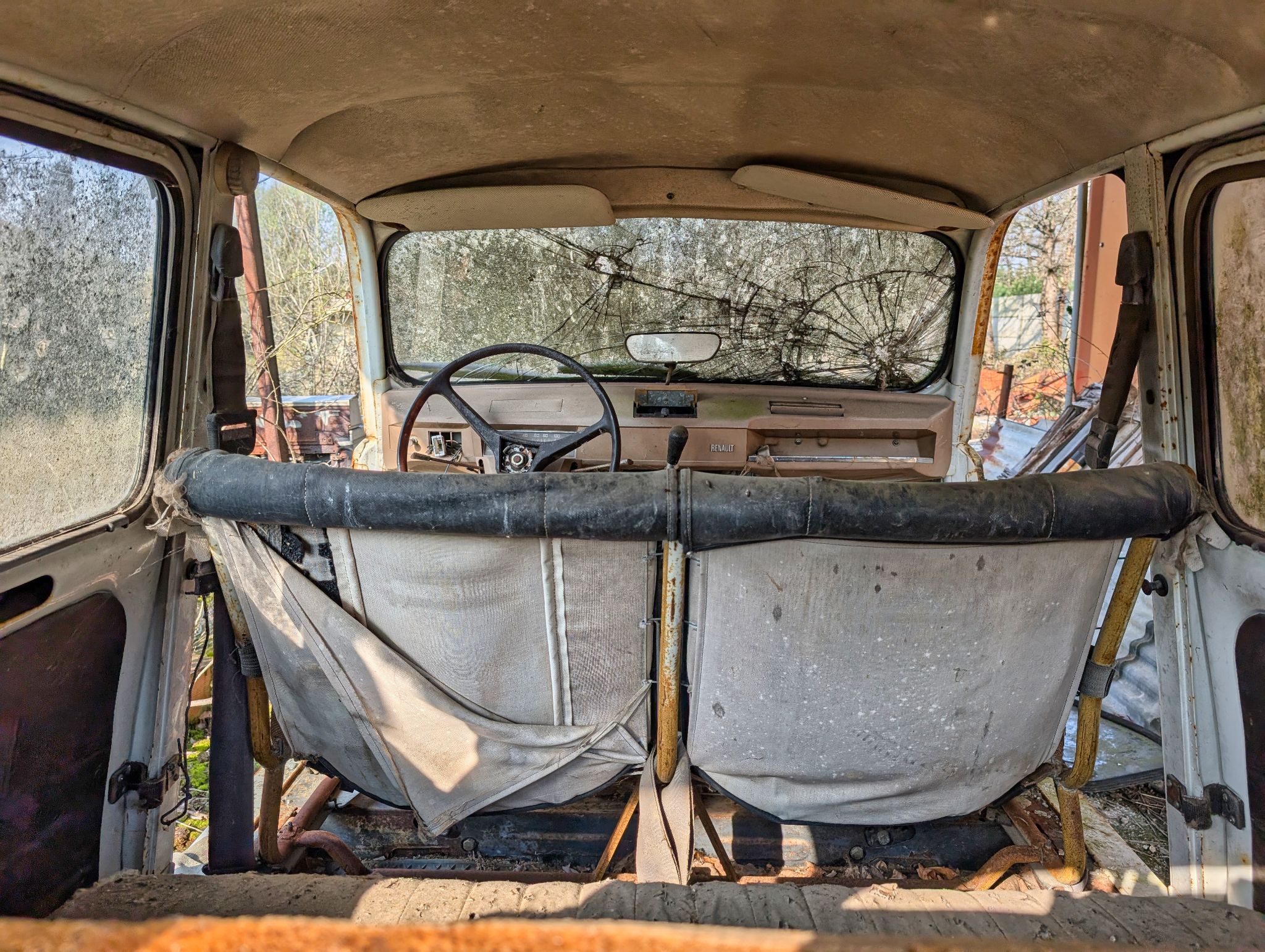 PXL 20250316 091553195