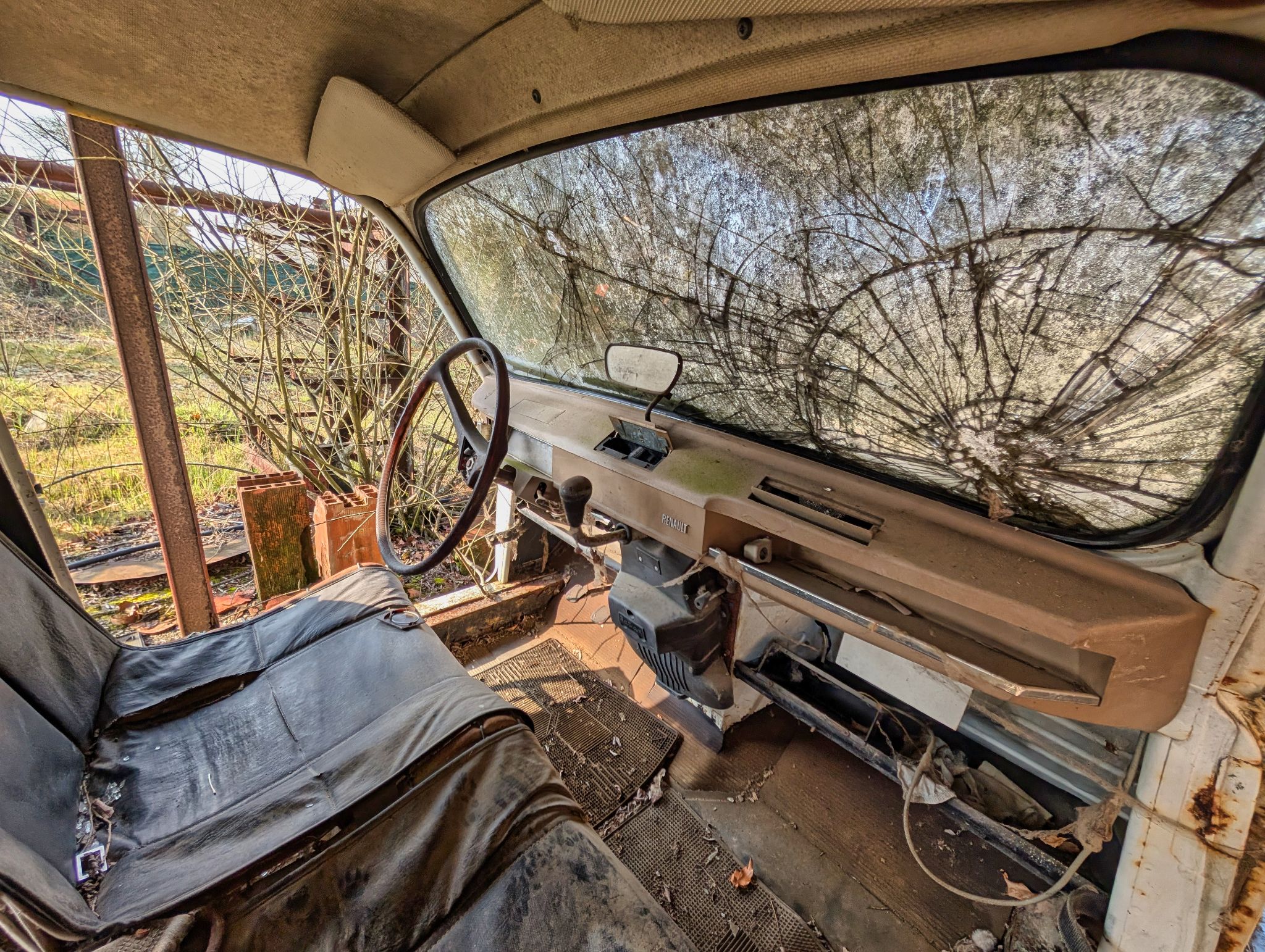 PXL 20250316 091713762