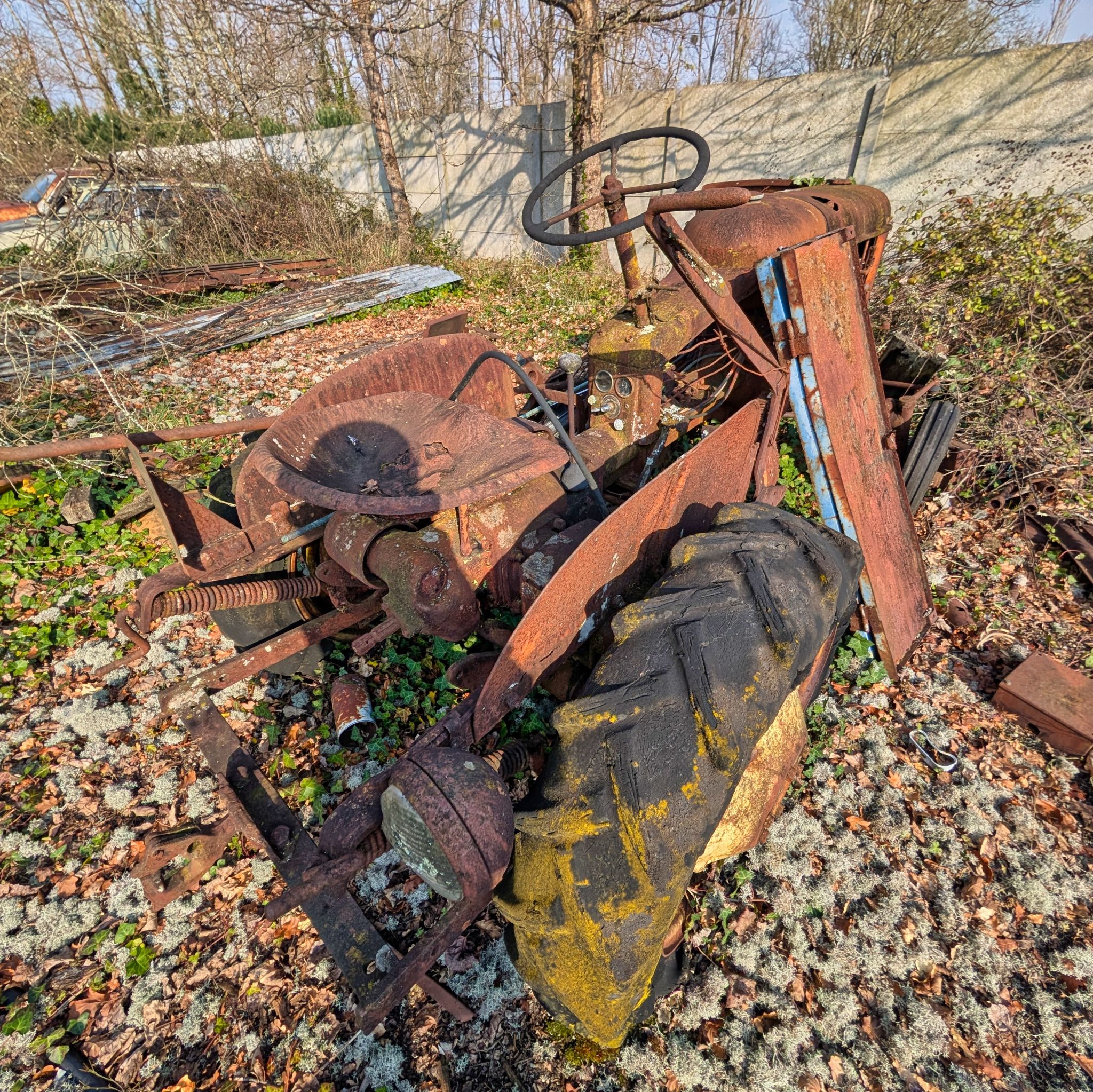 PXL 20250316 091955186