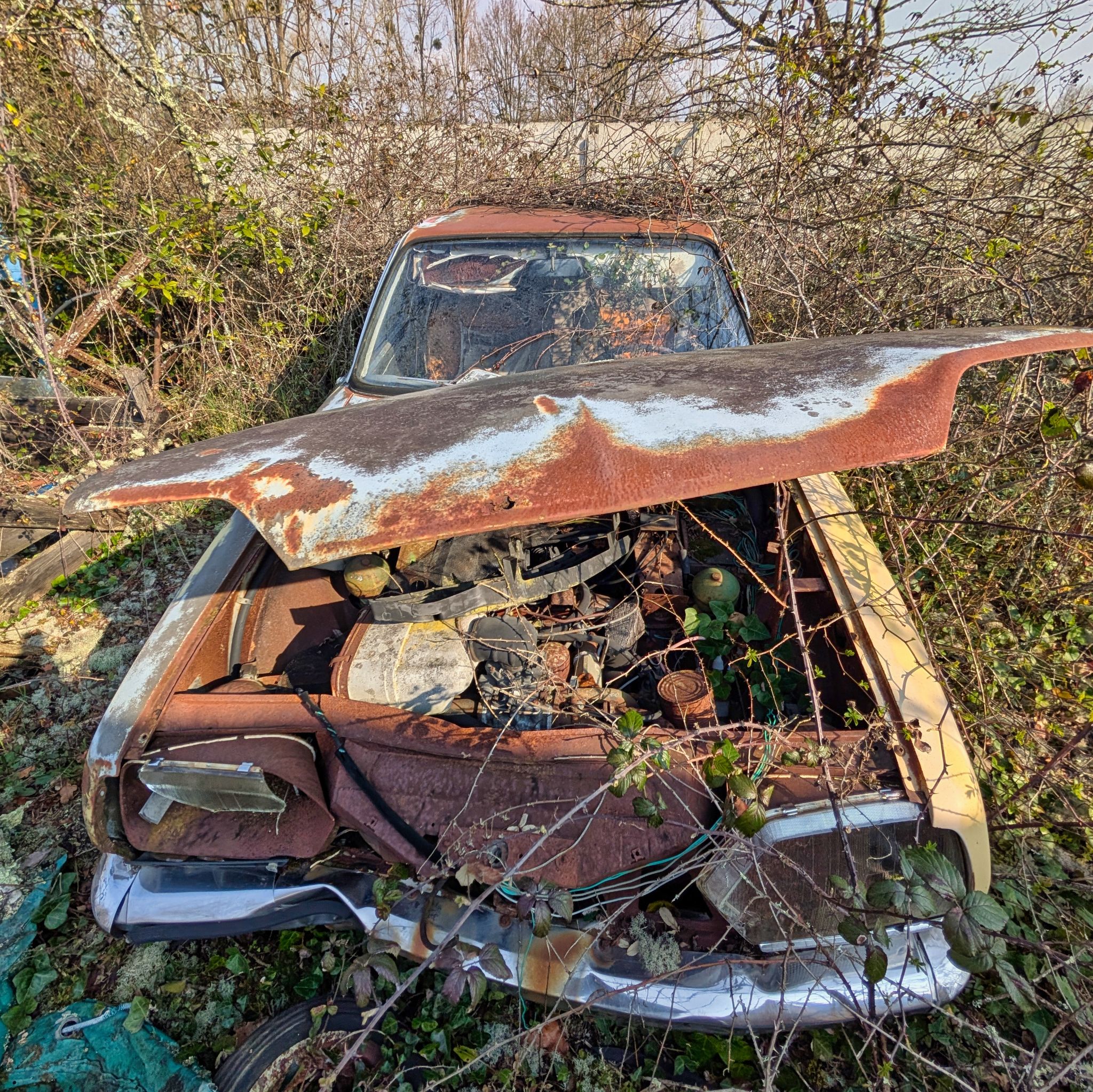 PXL 20250316 092225015