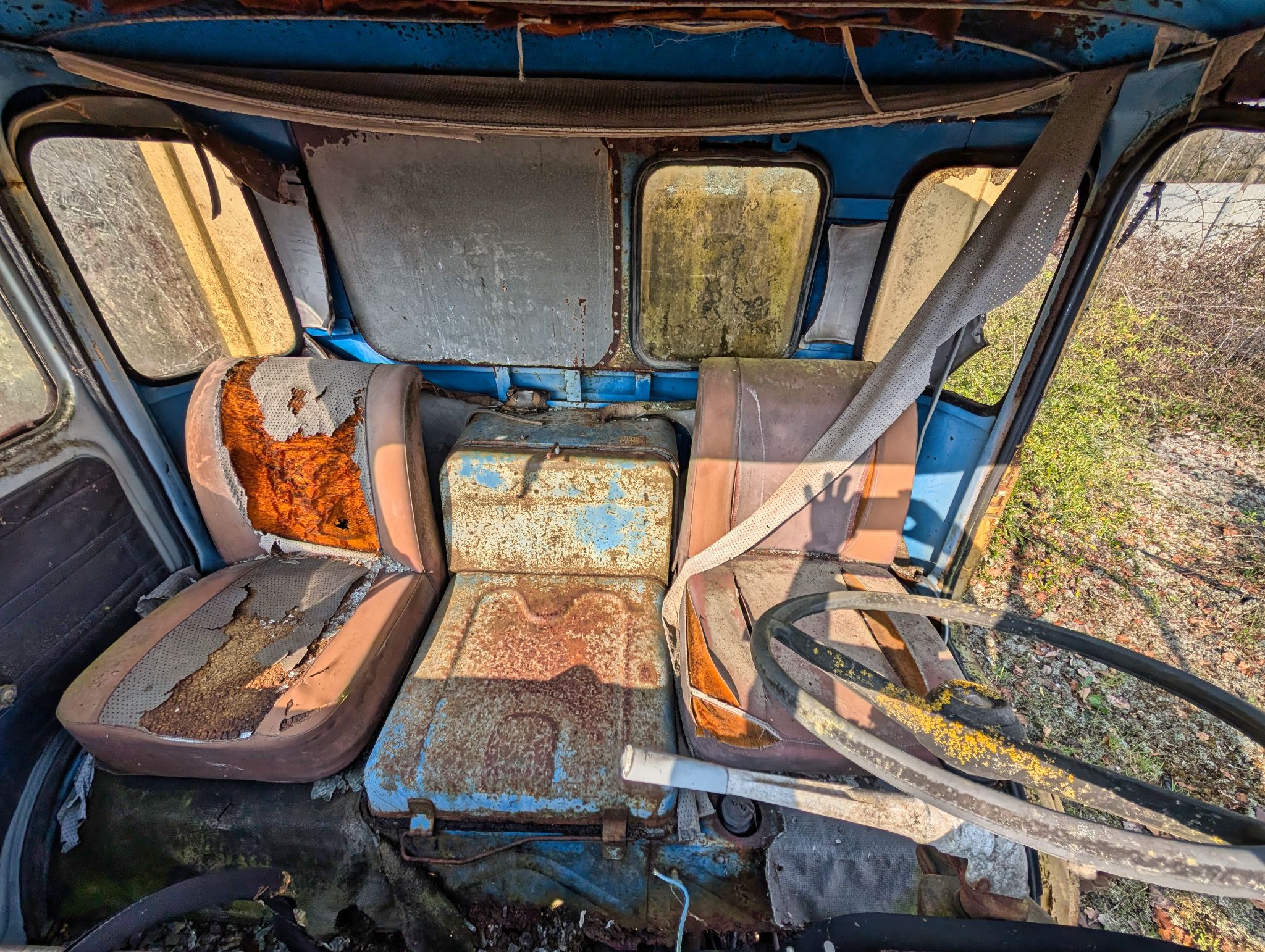 PXL 20250316 092555332