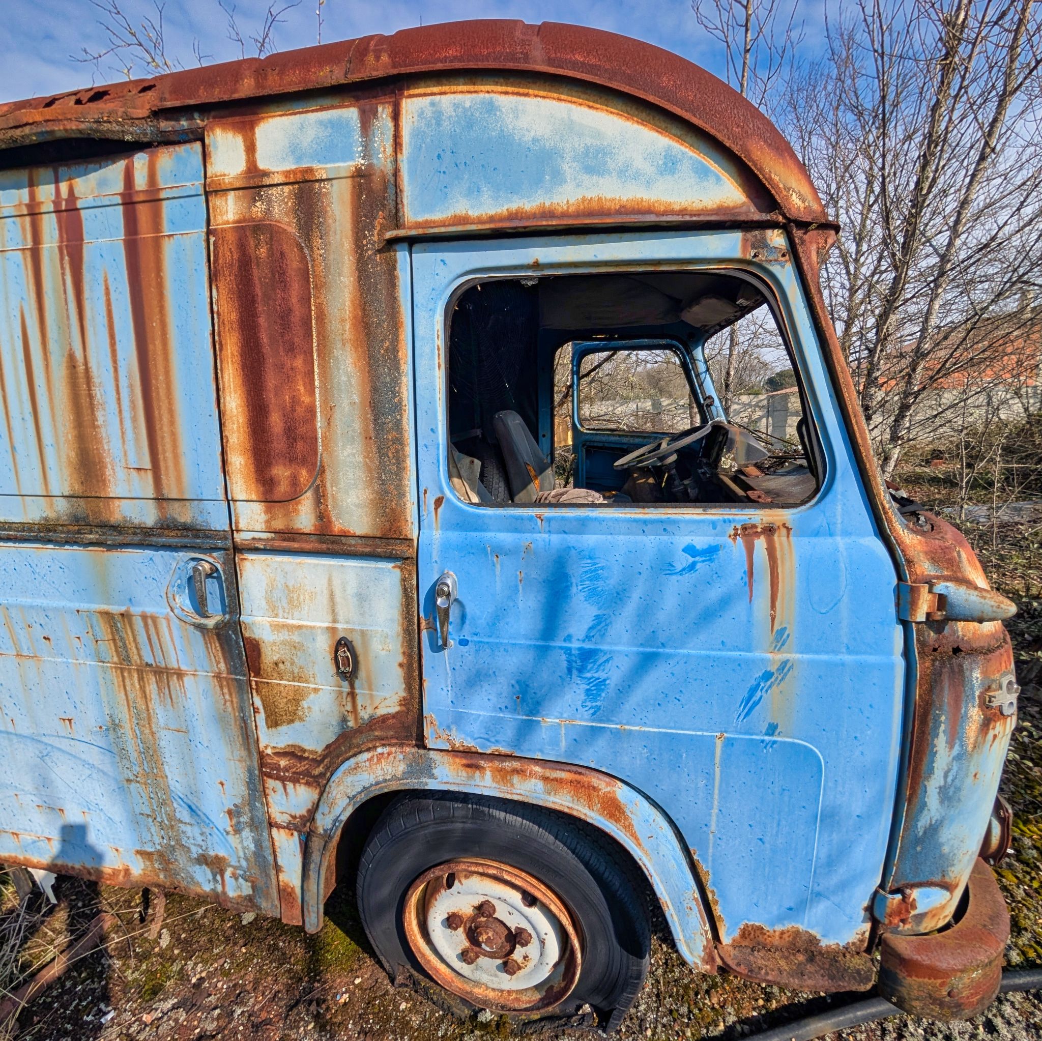 PXL 20250316 092912364