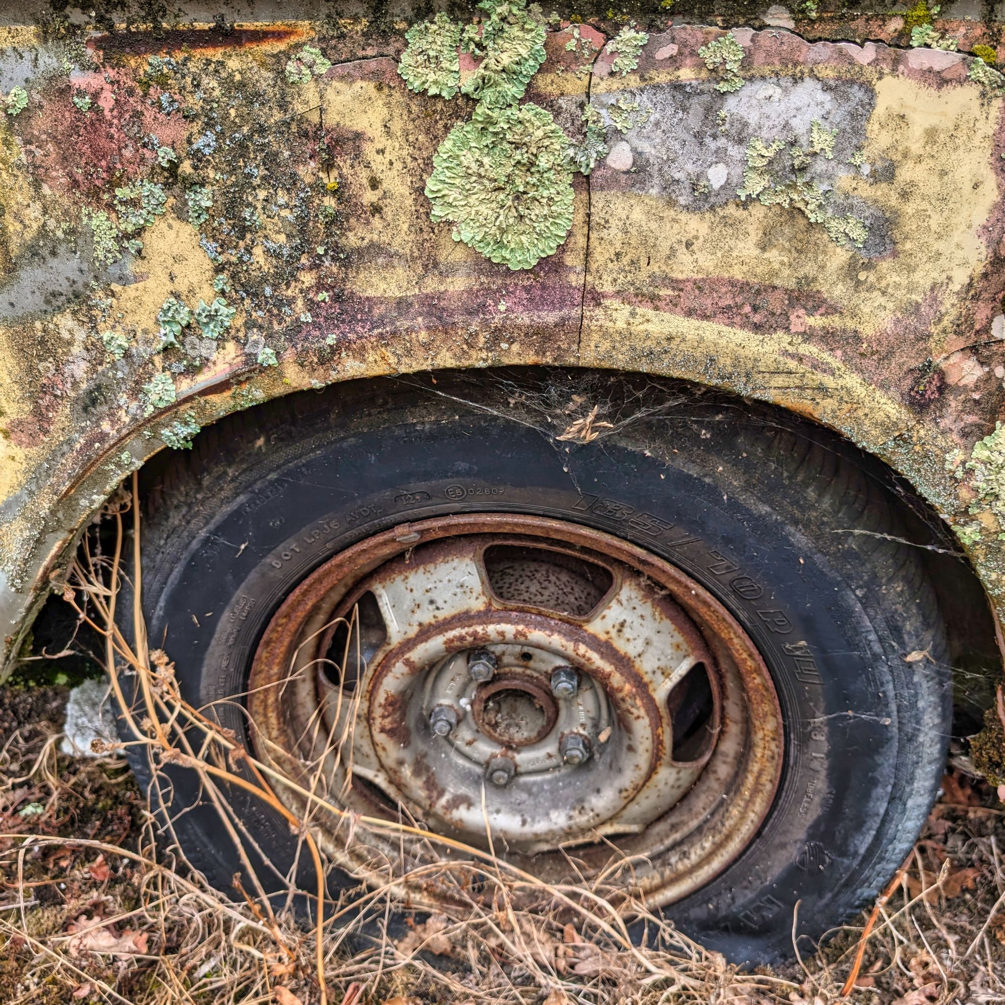 PXL 20250727 093053603