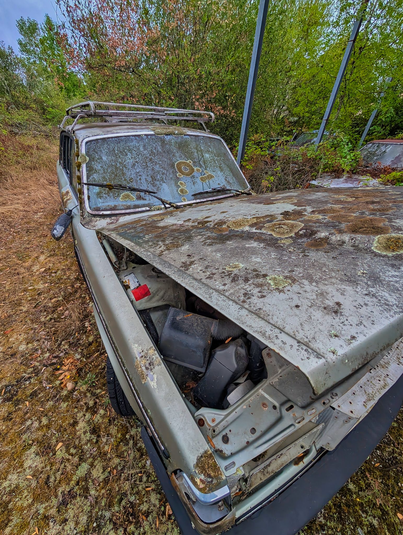 PXL 20250727 093111285