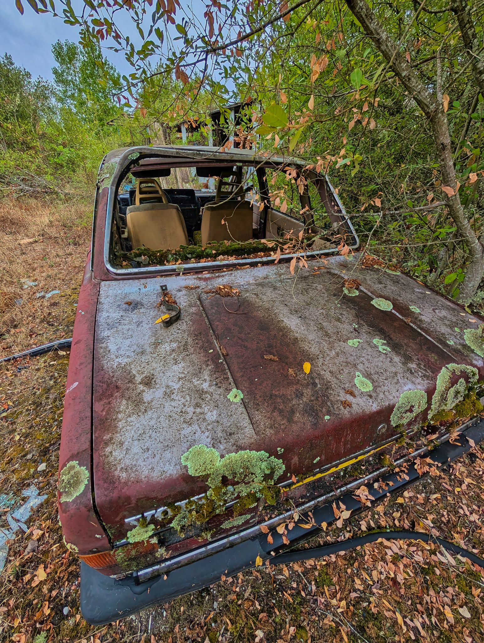 PXL 20250727 093133821