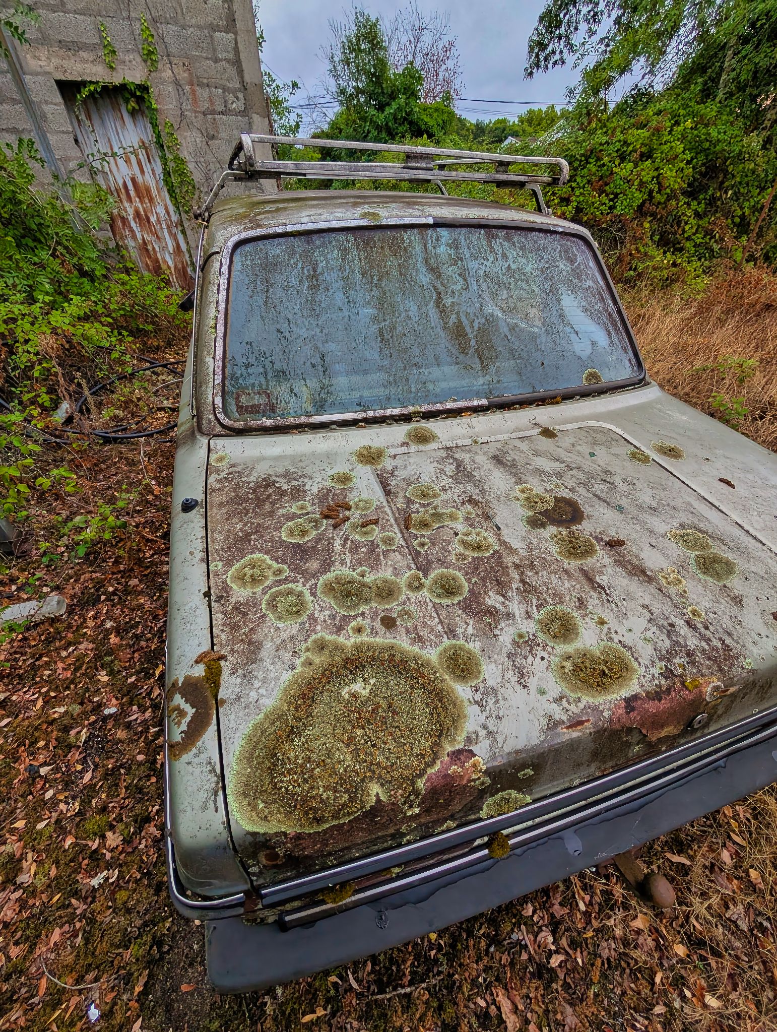 PXL 20250727 093209035