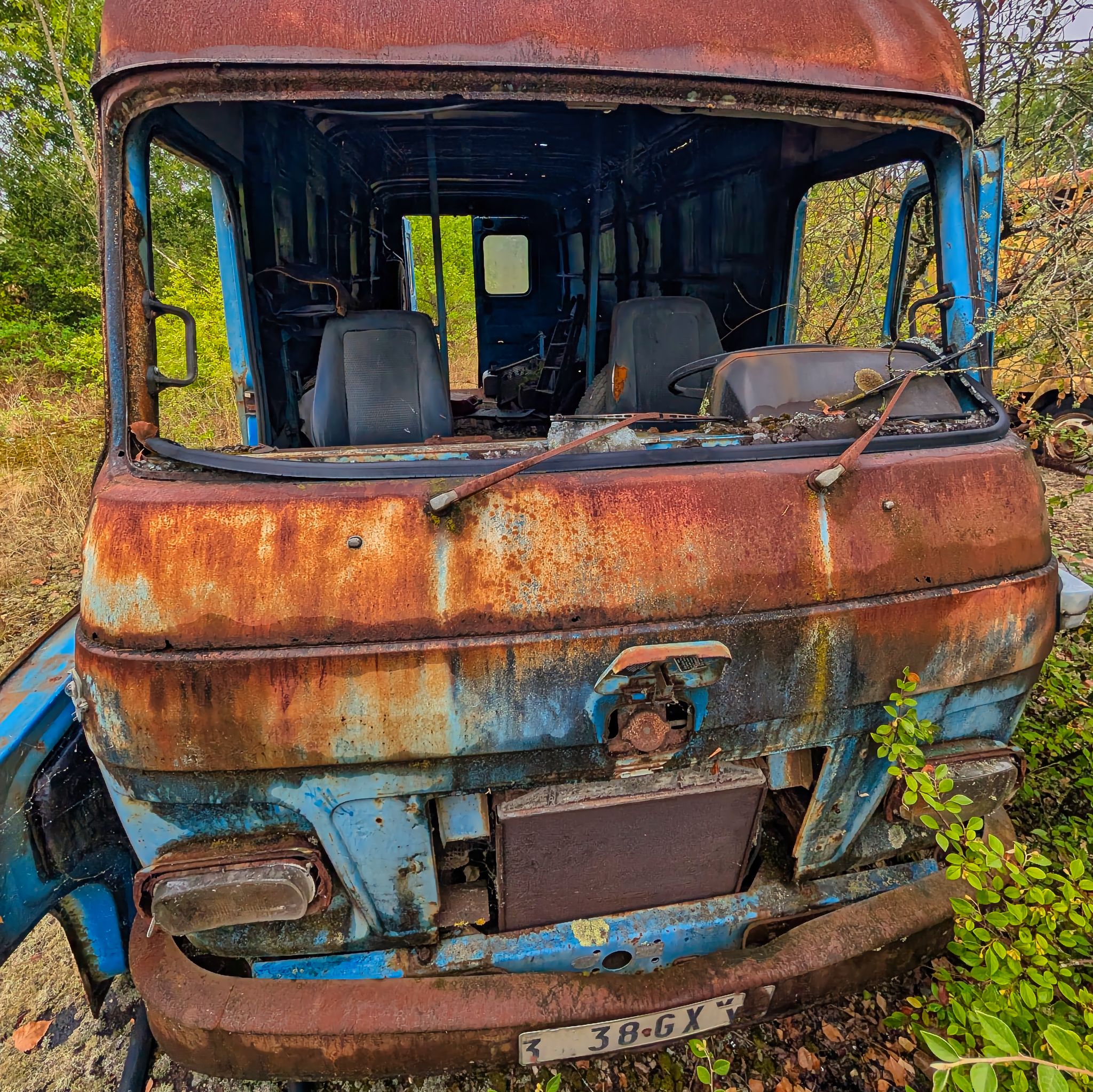 PXL 20250727 093634625