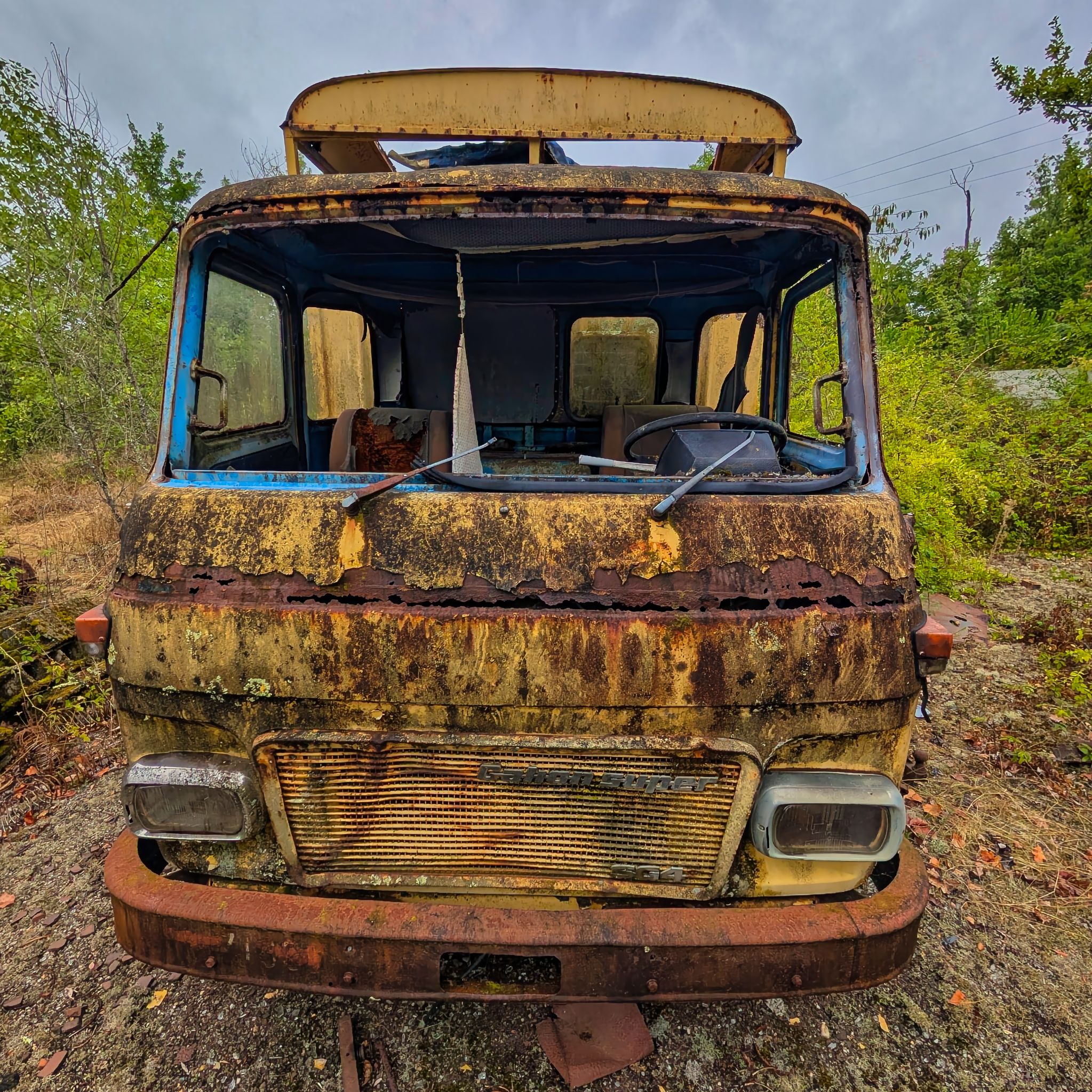 PXL 20250727 093815528