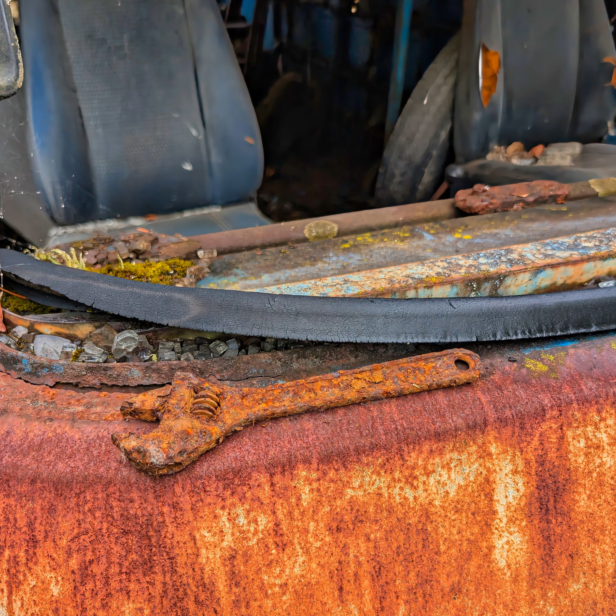 PXL 20250727 094348306