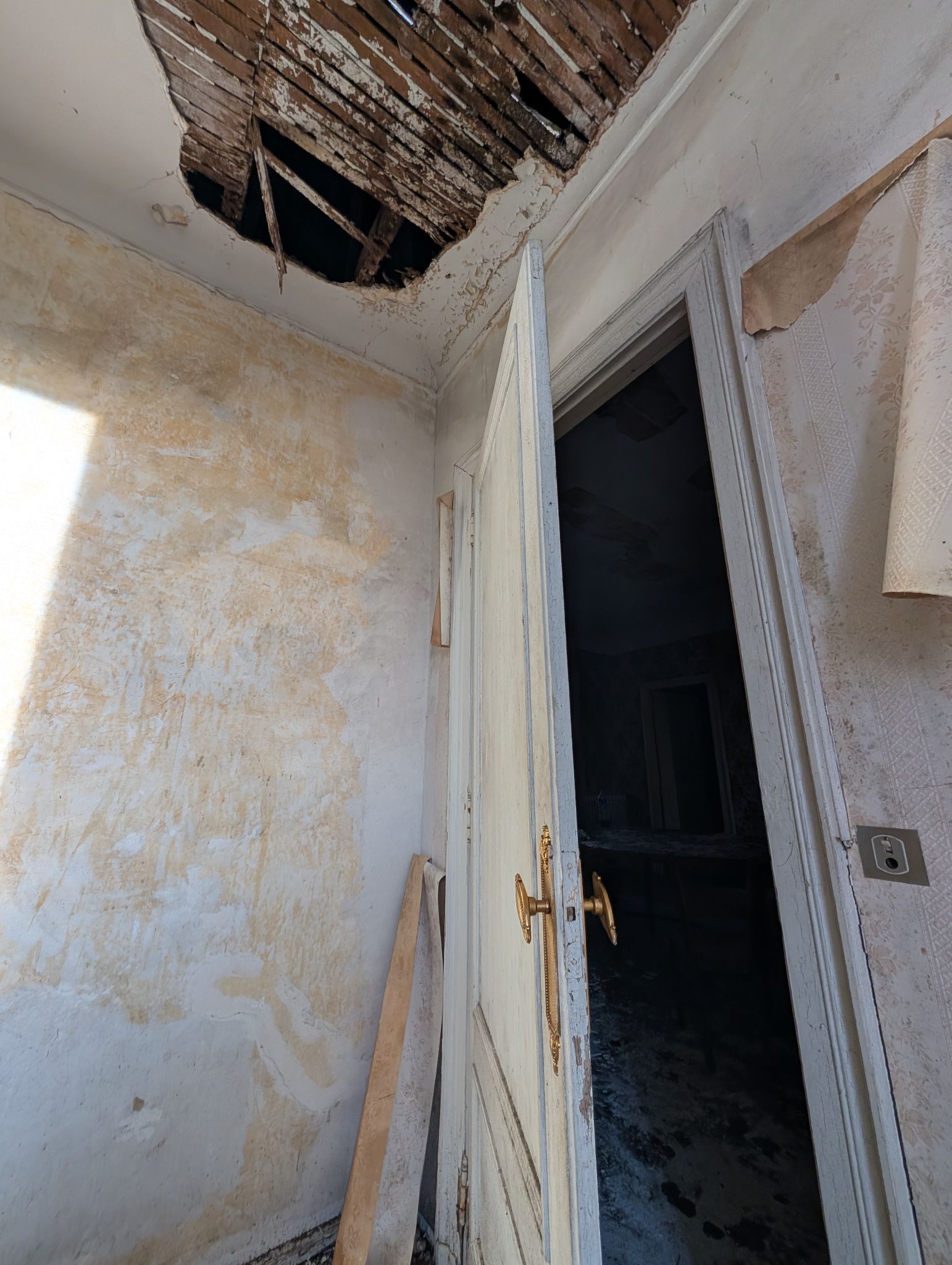 PXL 20251207 150714825