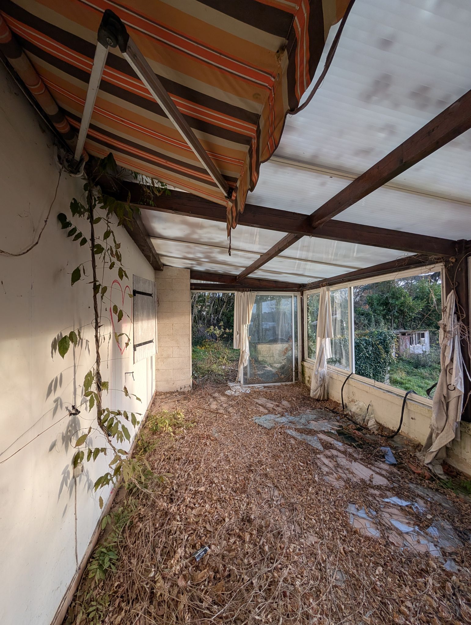 PXL 20251207 150920655