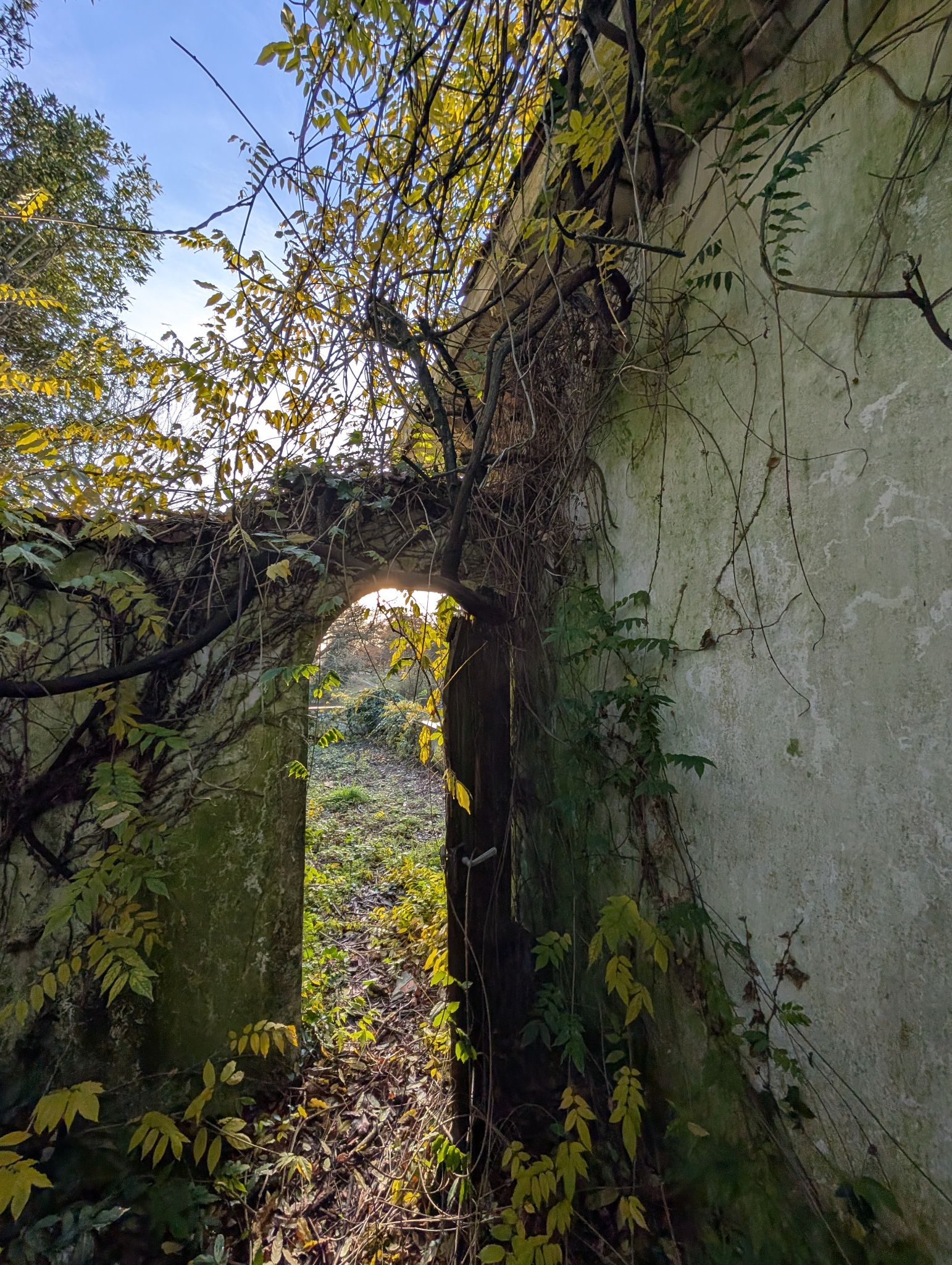 PXL 20251207 151121464.MP