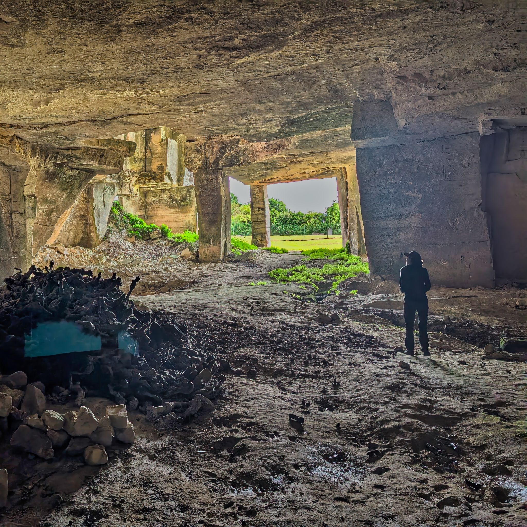 PXL 20250609 083733239