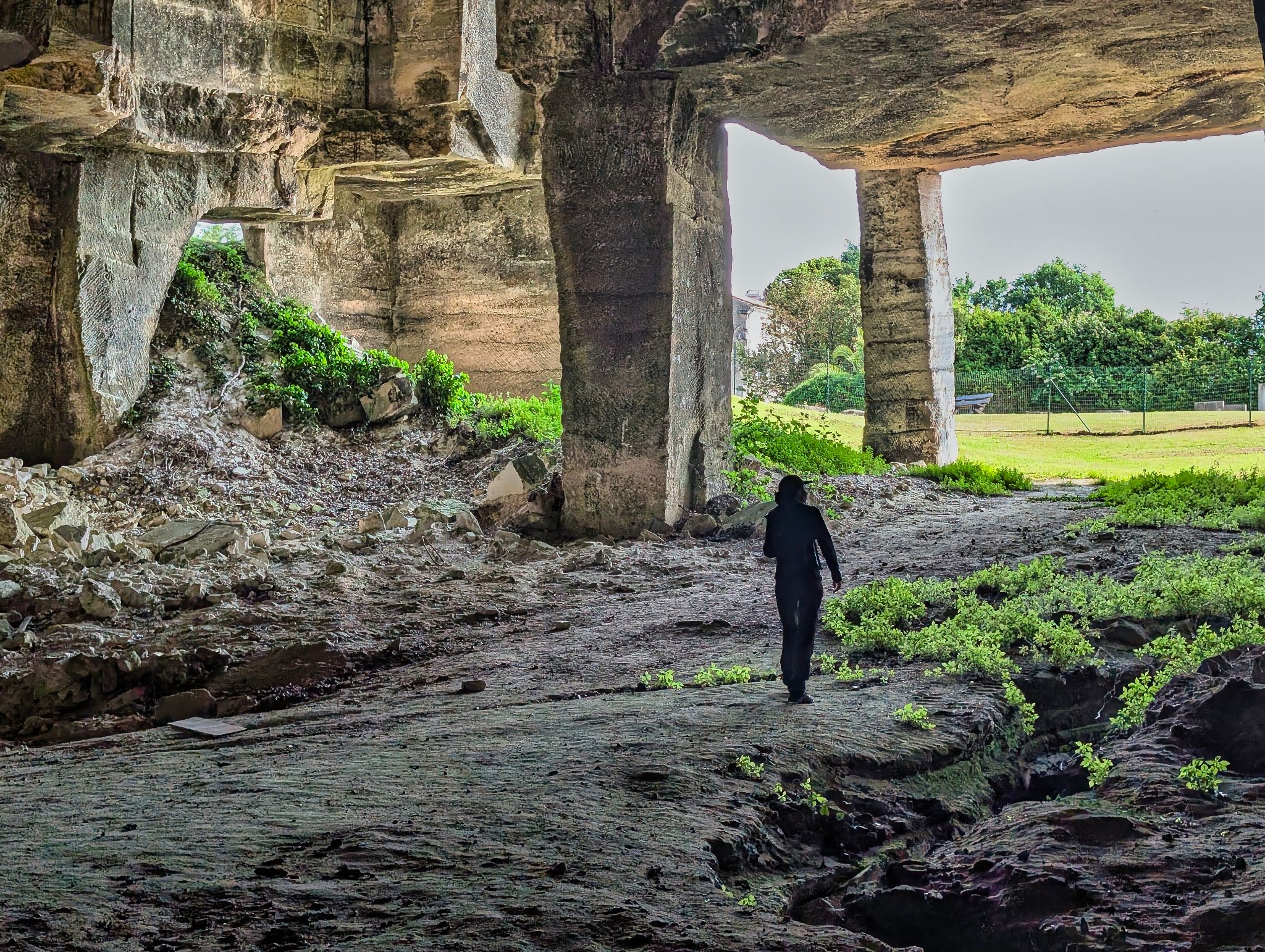 PXL 20250609 083753223