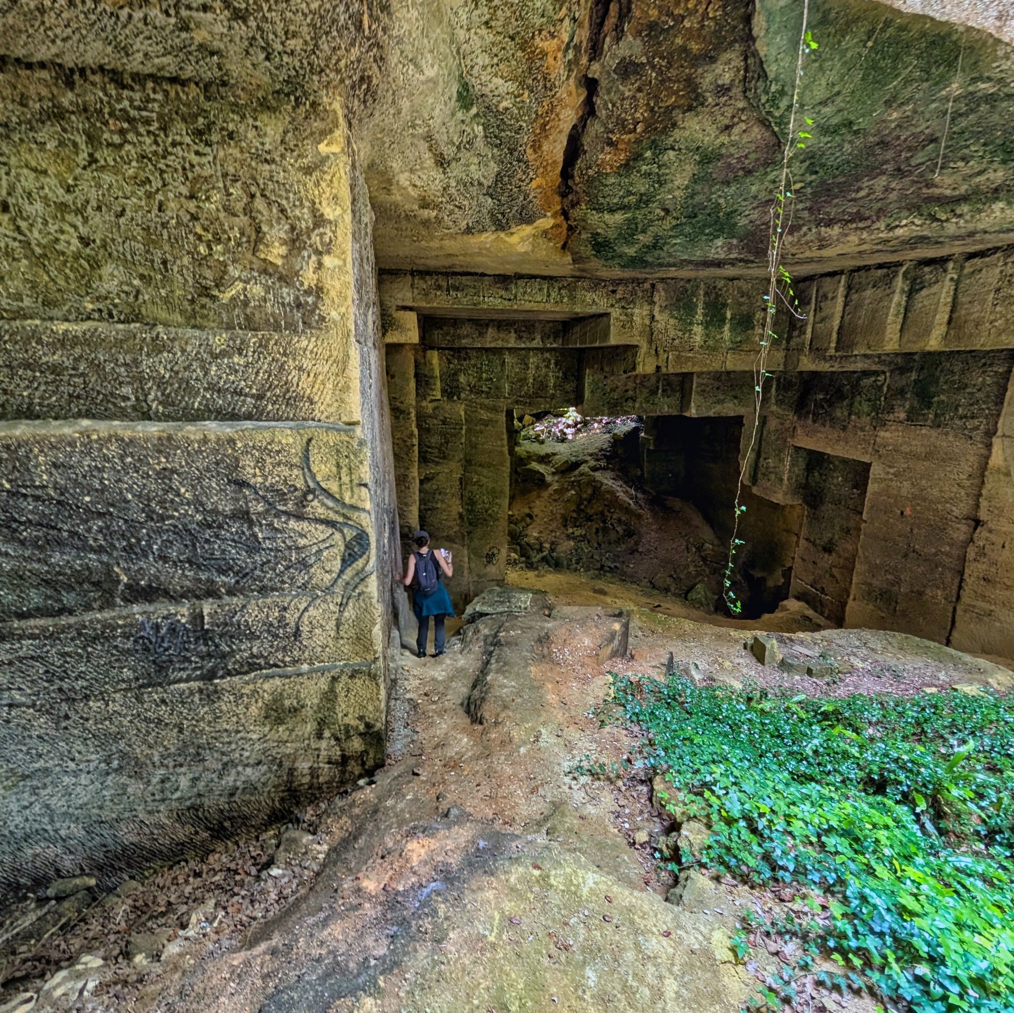 PXL 20250609 110808903