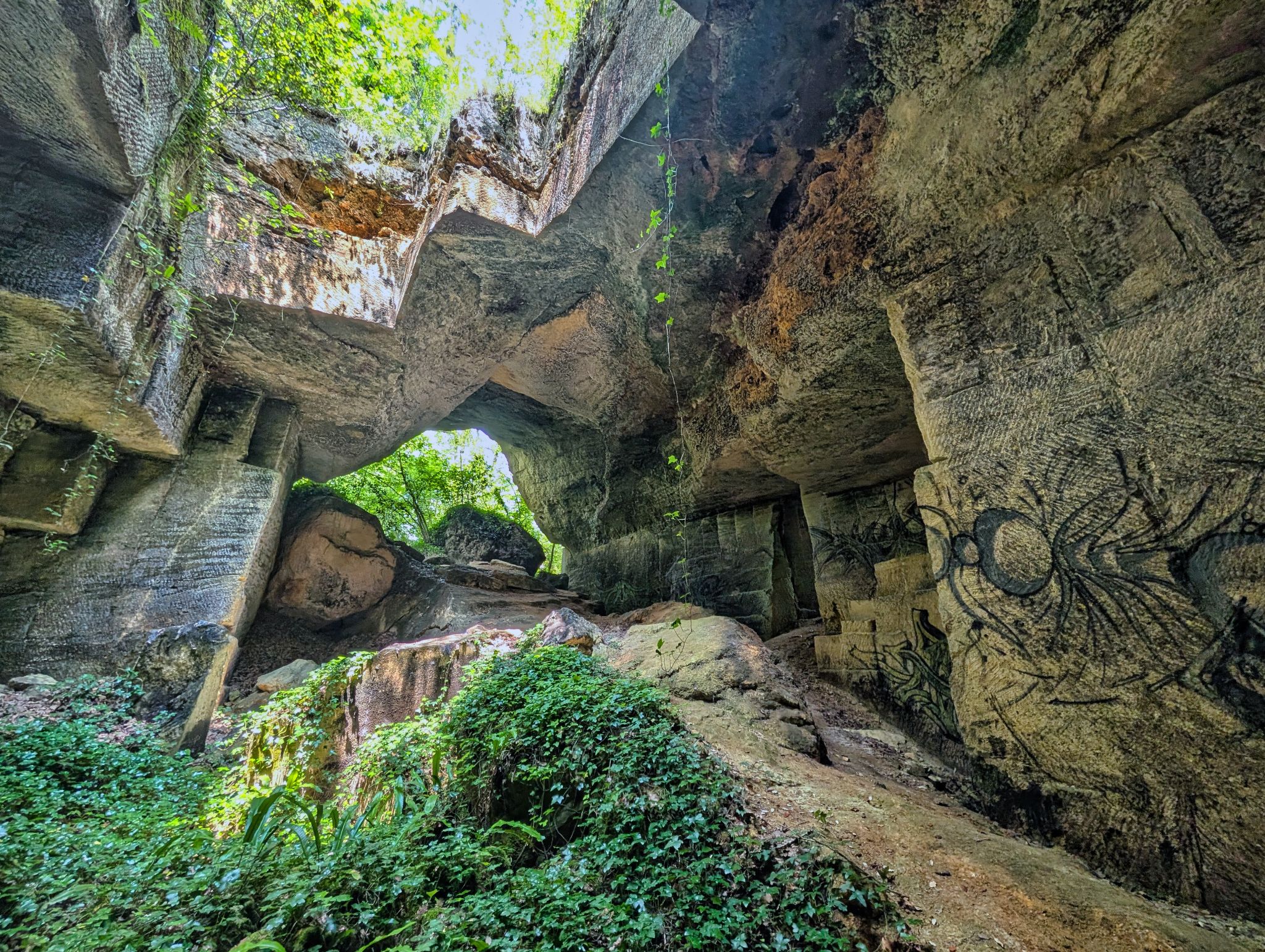 PXL 20250609 110913951