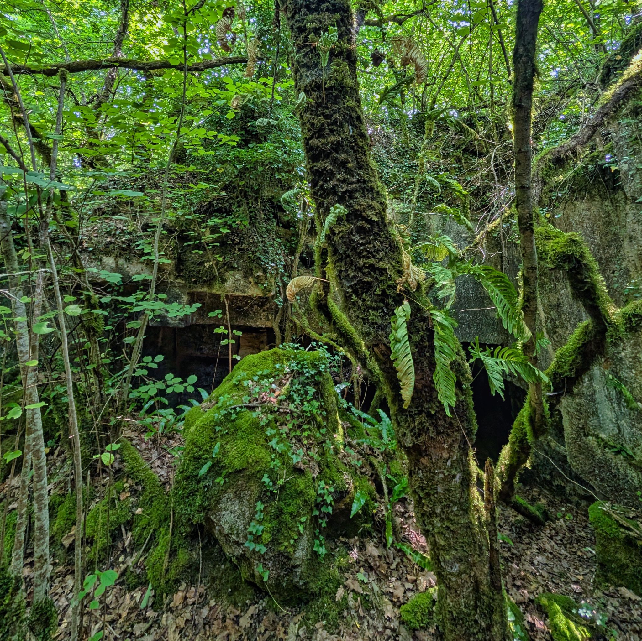 PXL 20250609 112851086