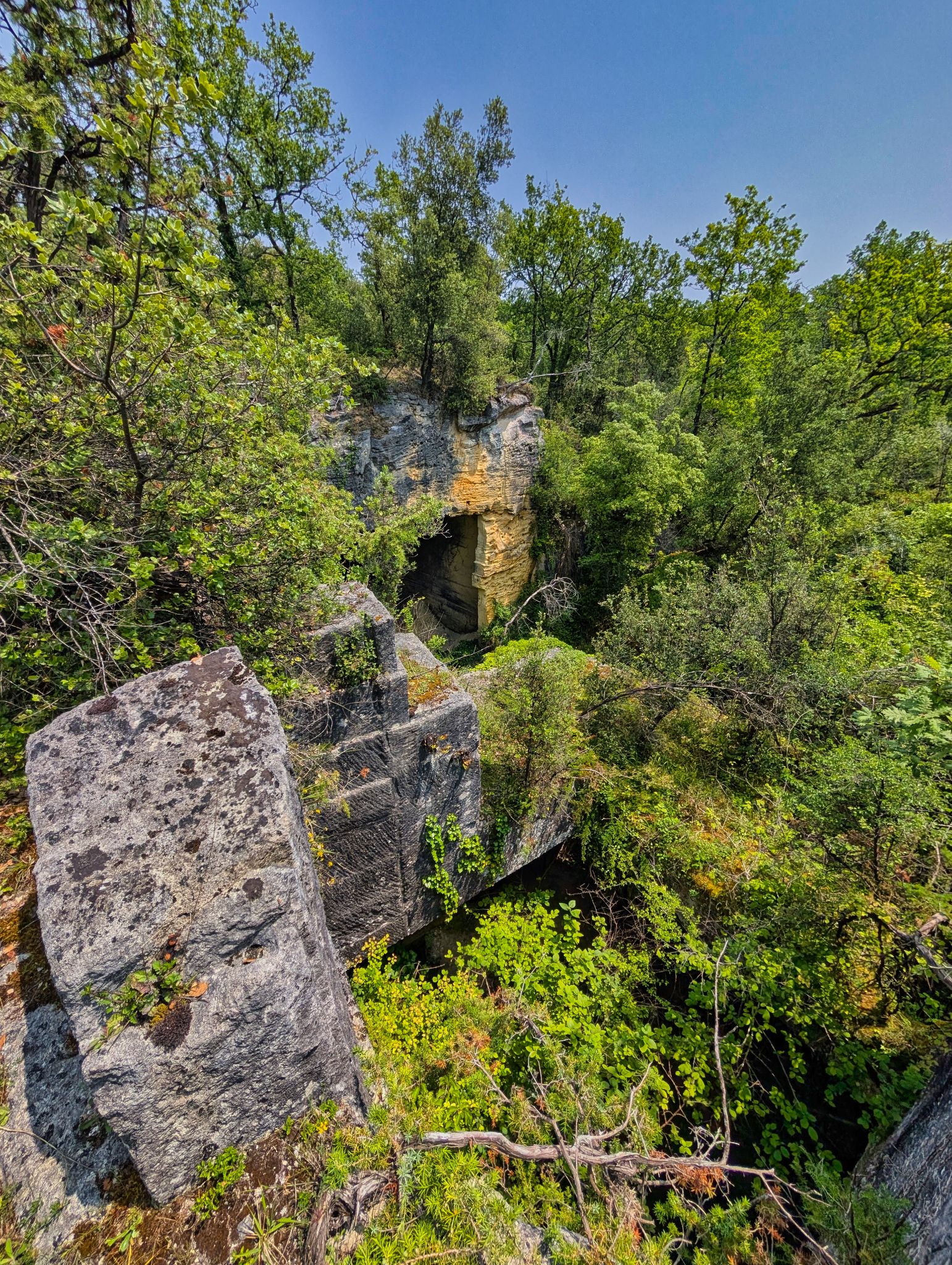 PXL 20250609 114544933