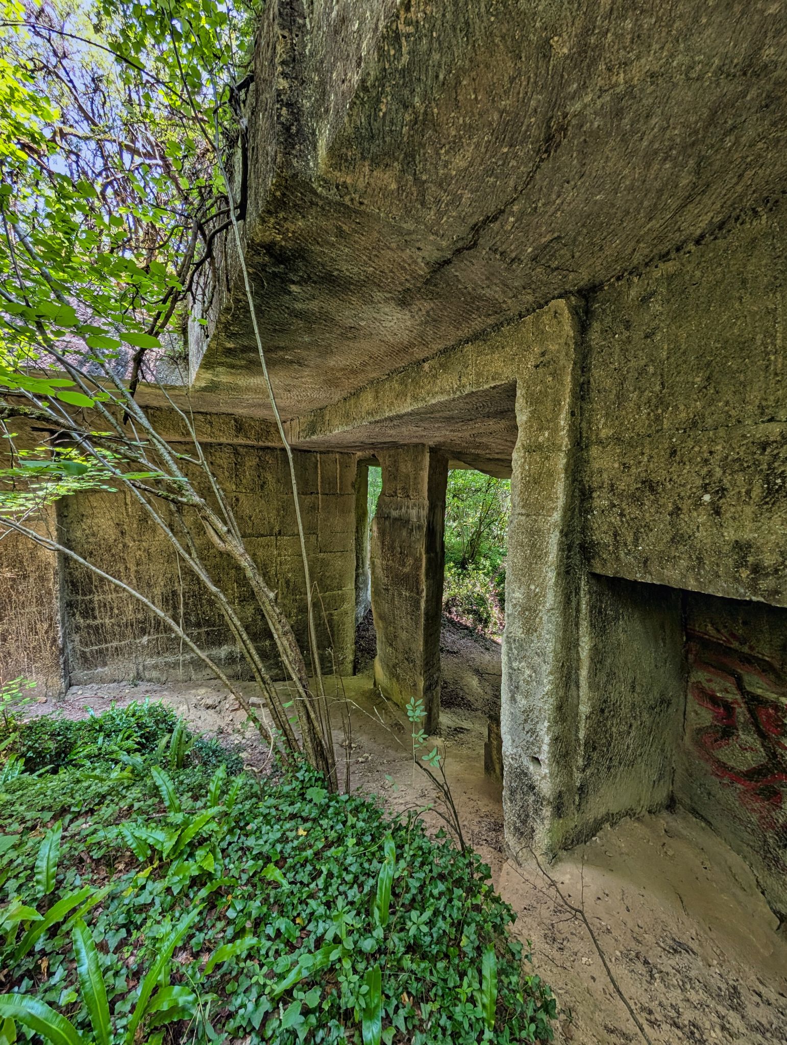 PXL 20250609 121421559