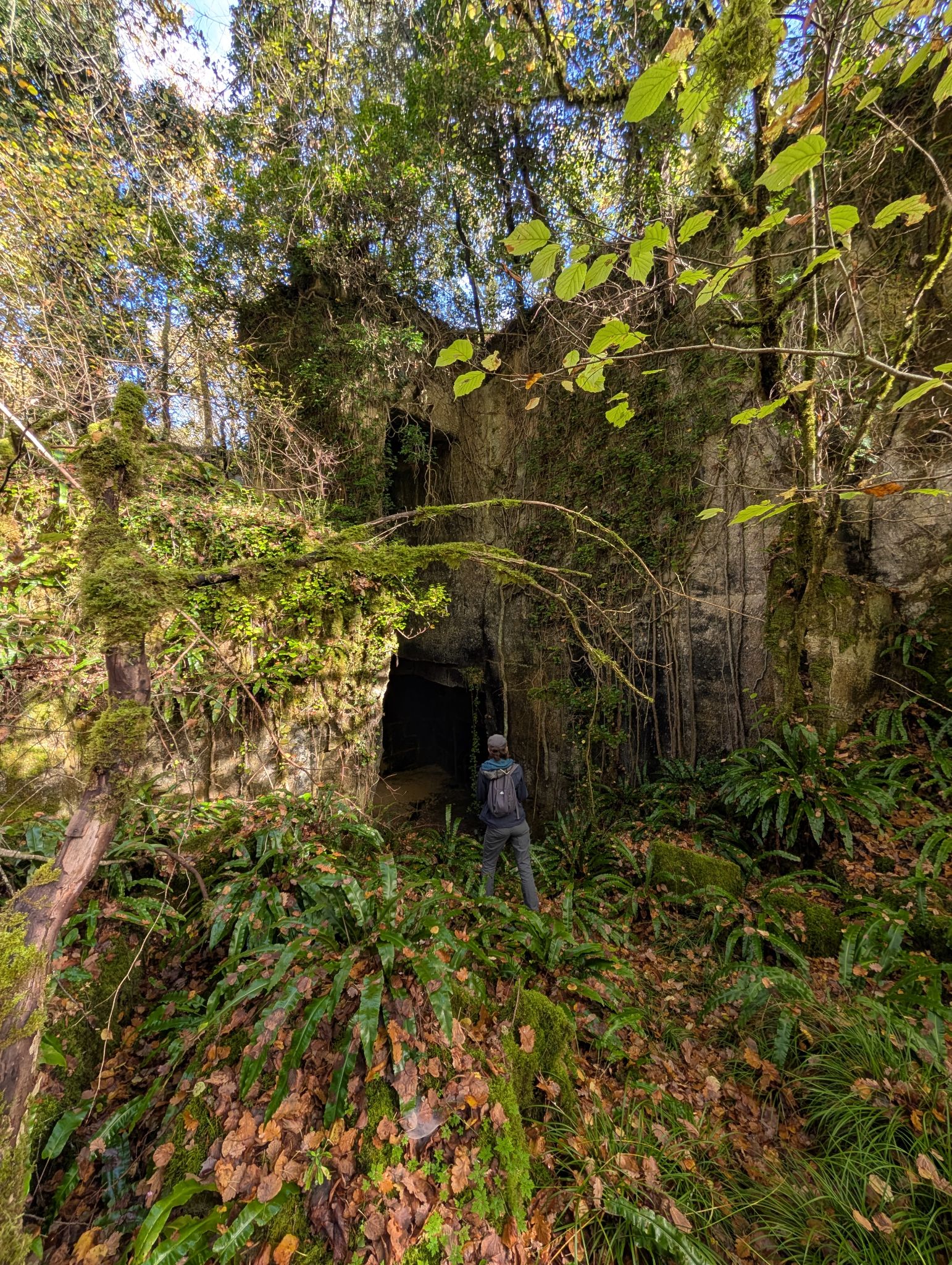 PXL 20251109 121308109