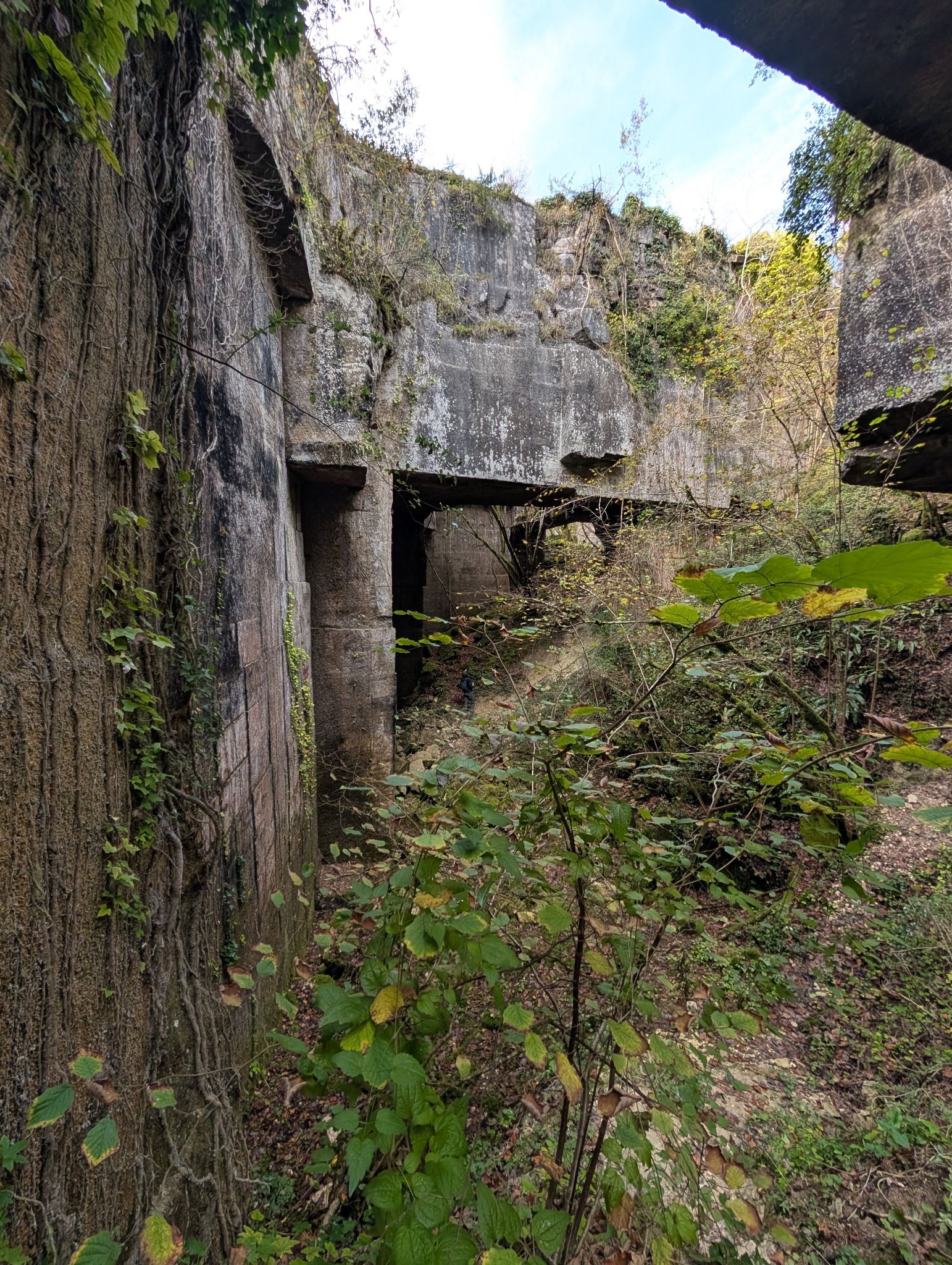 PXL 20251109 133411265