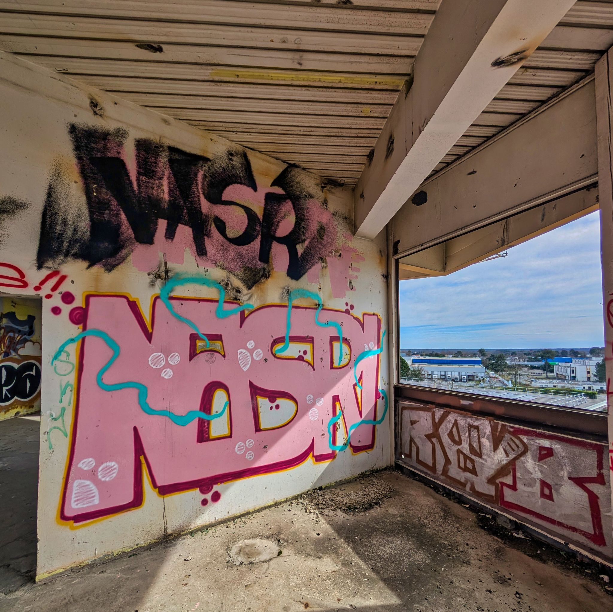 PXL 20250308 133230514