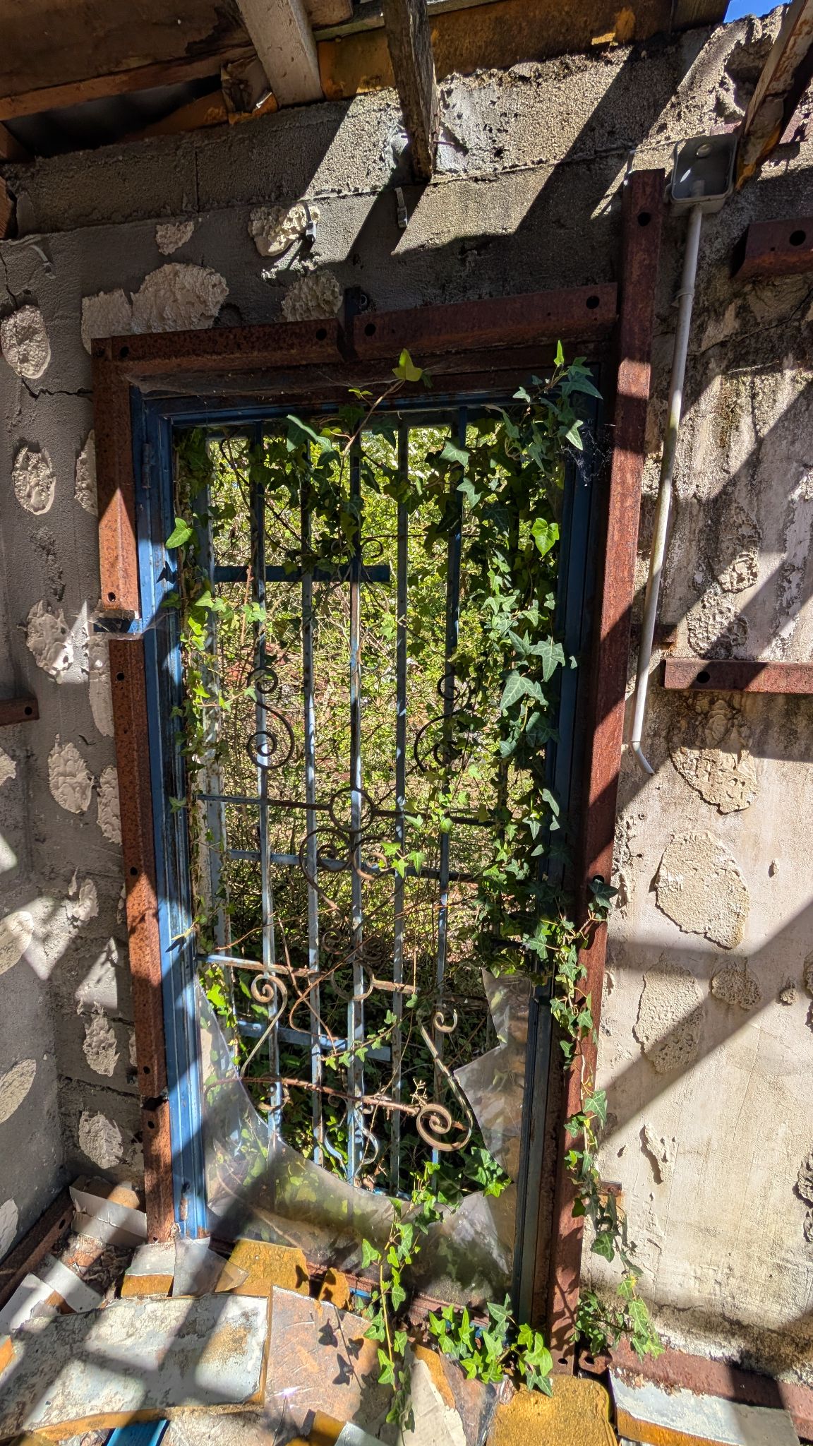 PXL 20260416 131551962