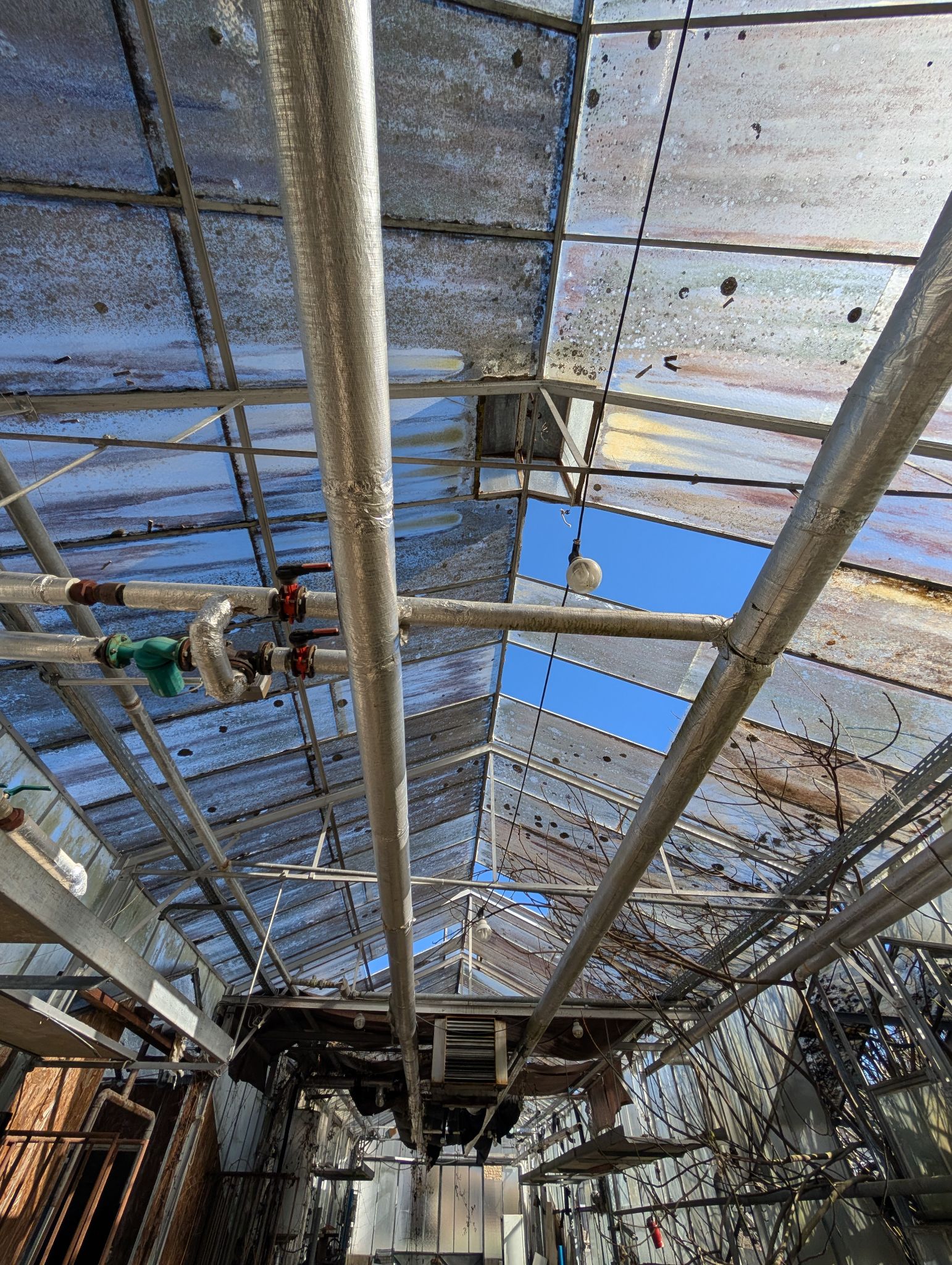 PXL 20260315 143050715