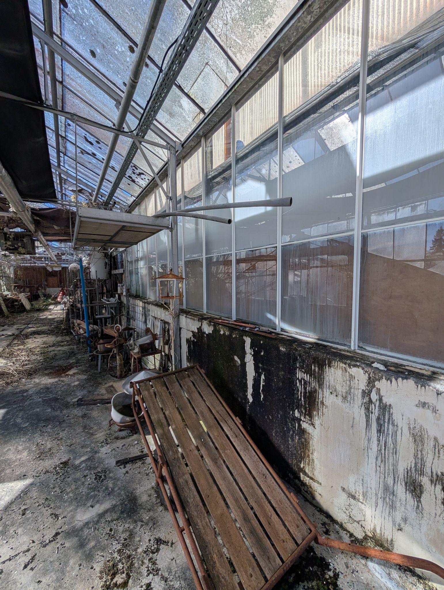 PXL 20260315 143256718.MP