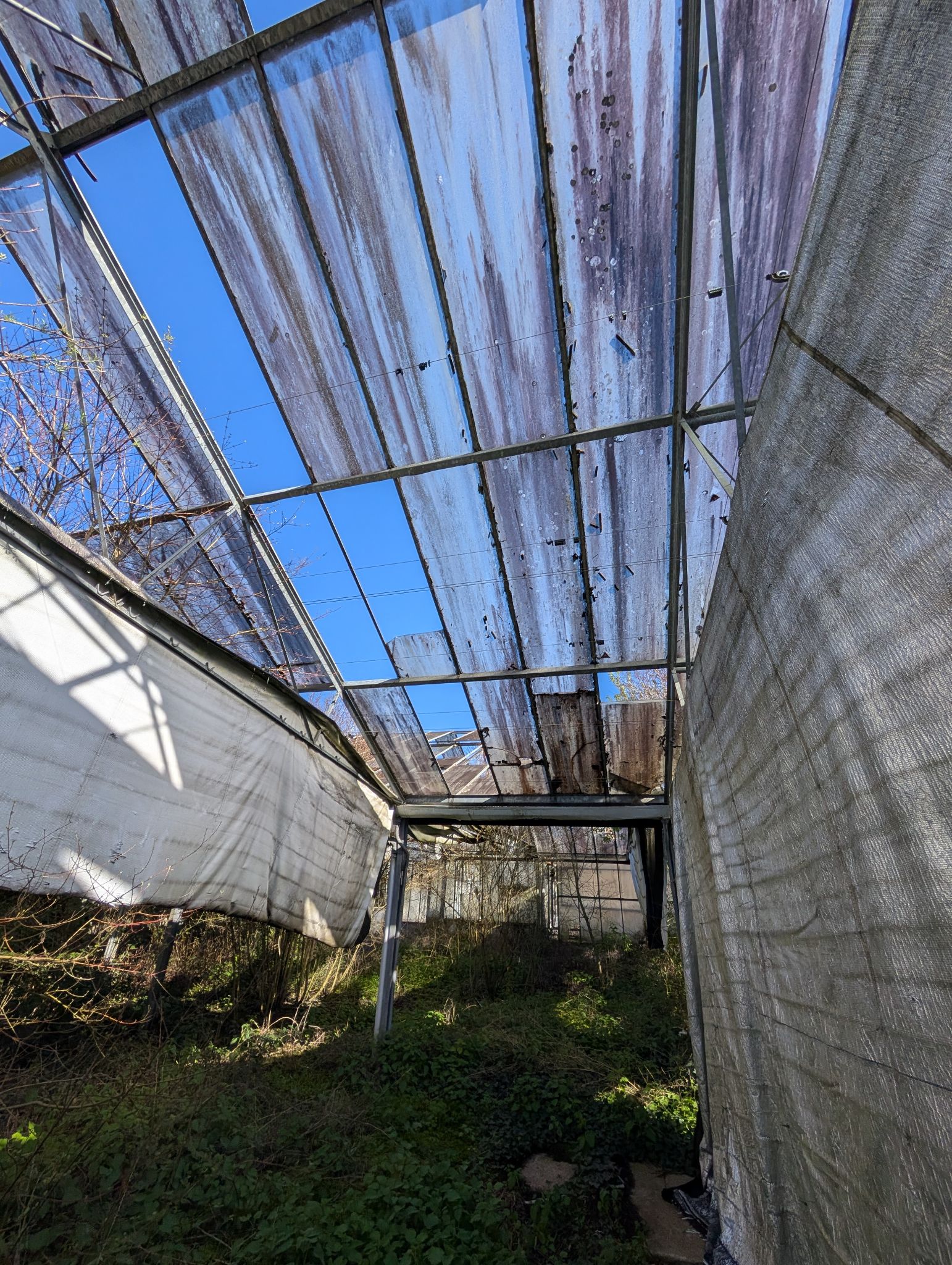 PXL 20260315 143616054