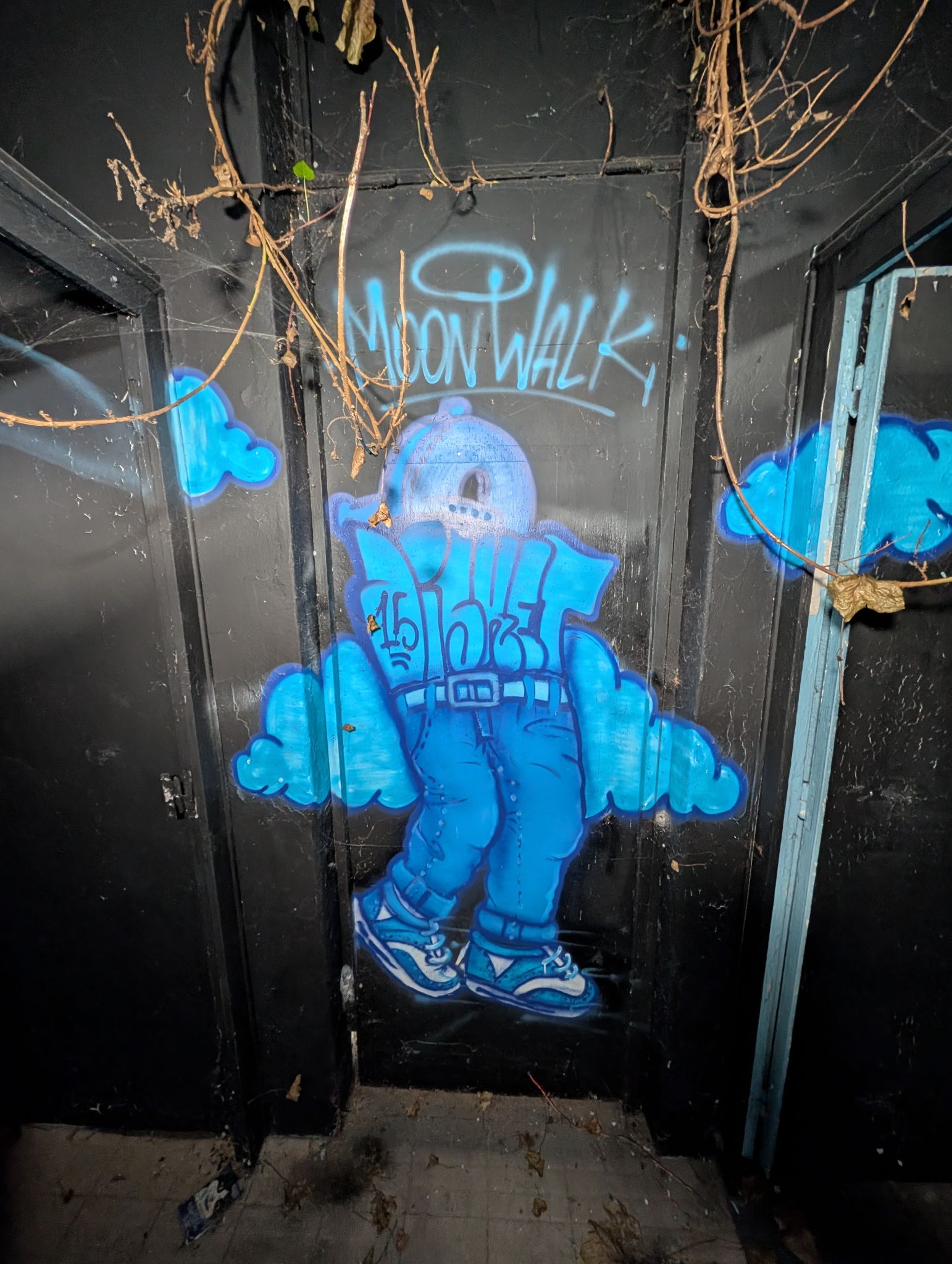 PXL 20260208 141056904