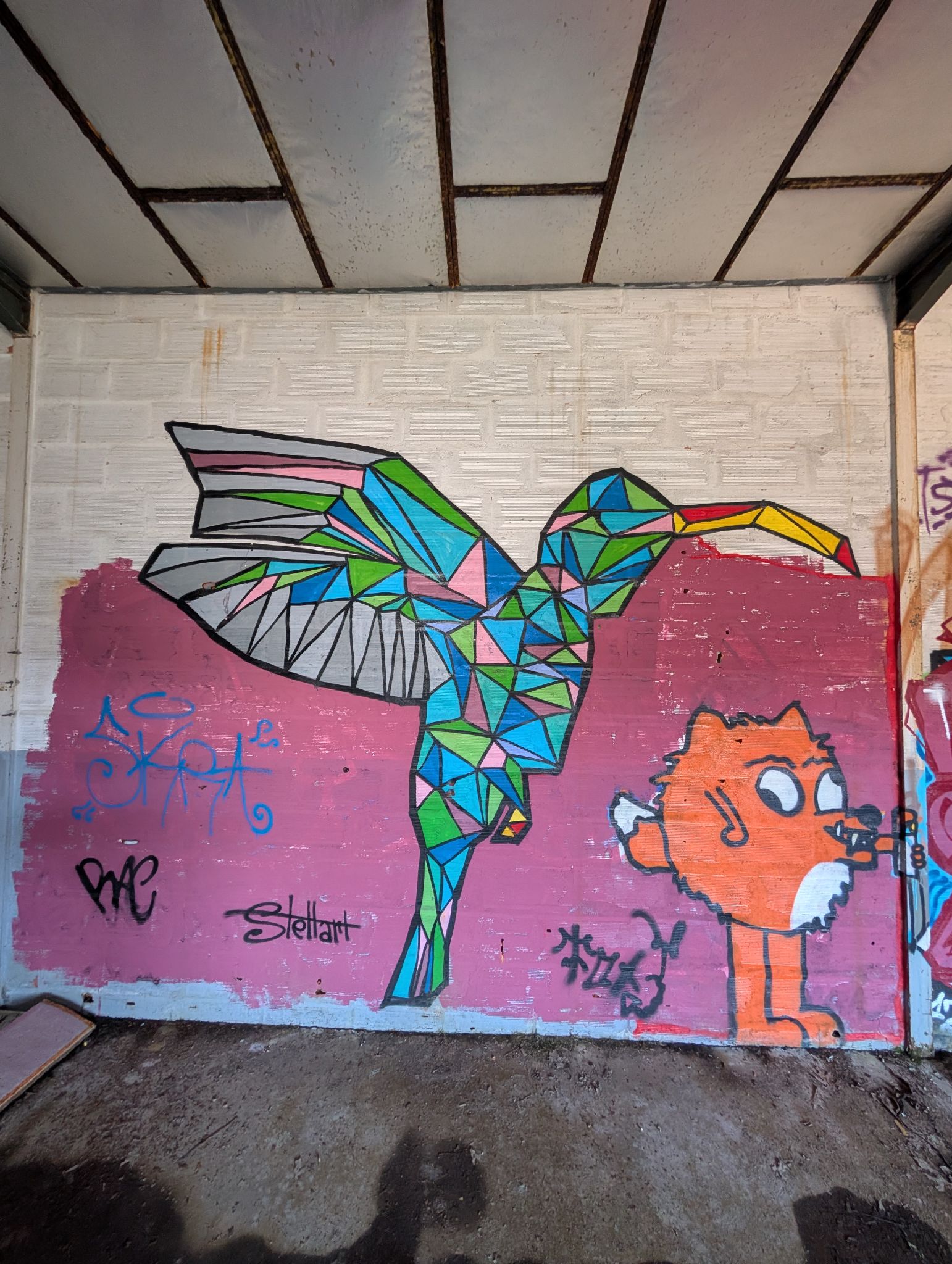 PXL 20260228 152555168.MP