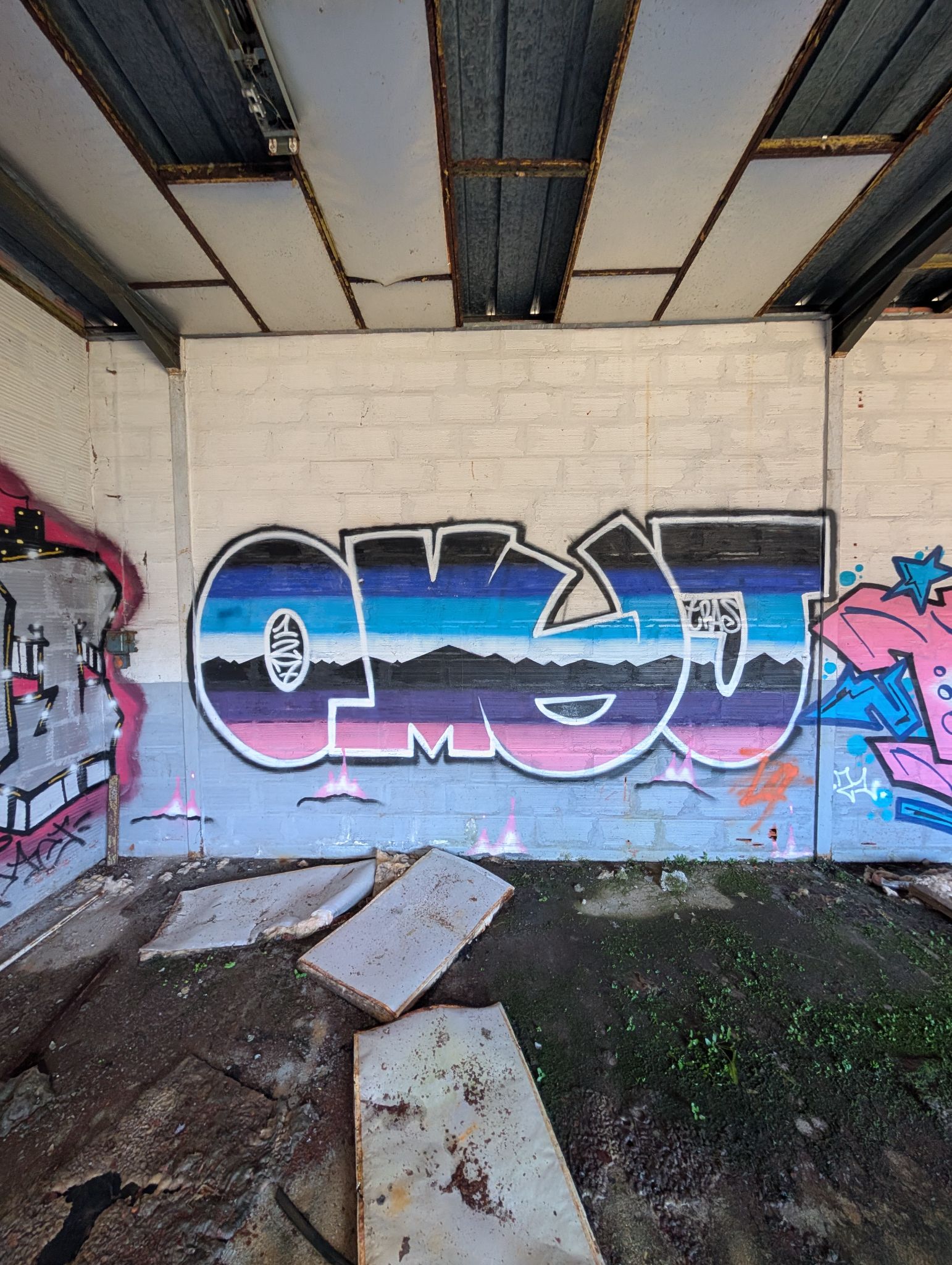 PXL 20260228 152733442